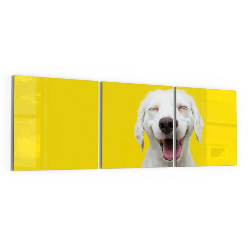 DEQORI Glasbild \'Lachender Hund\', \'Lachender Hund\', Glas Wandbild Bild  schwebend modern