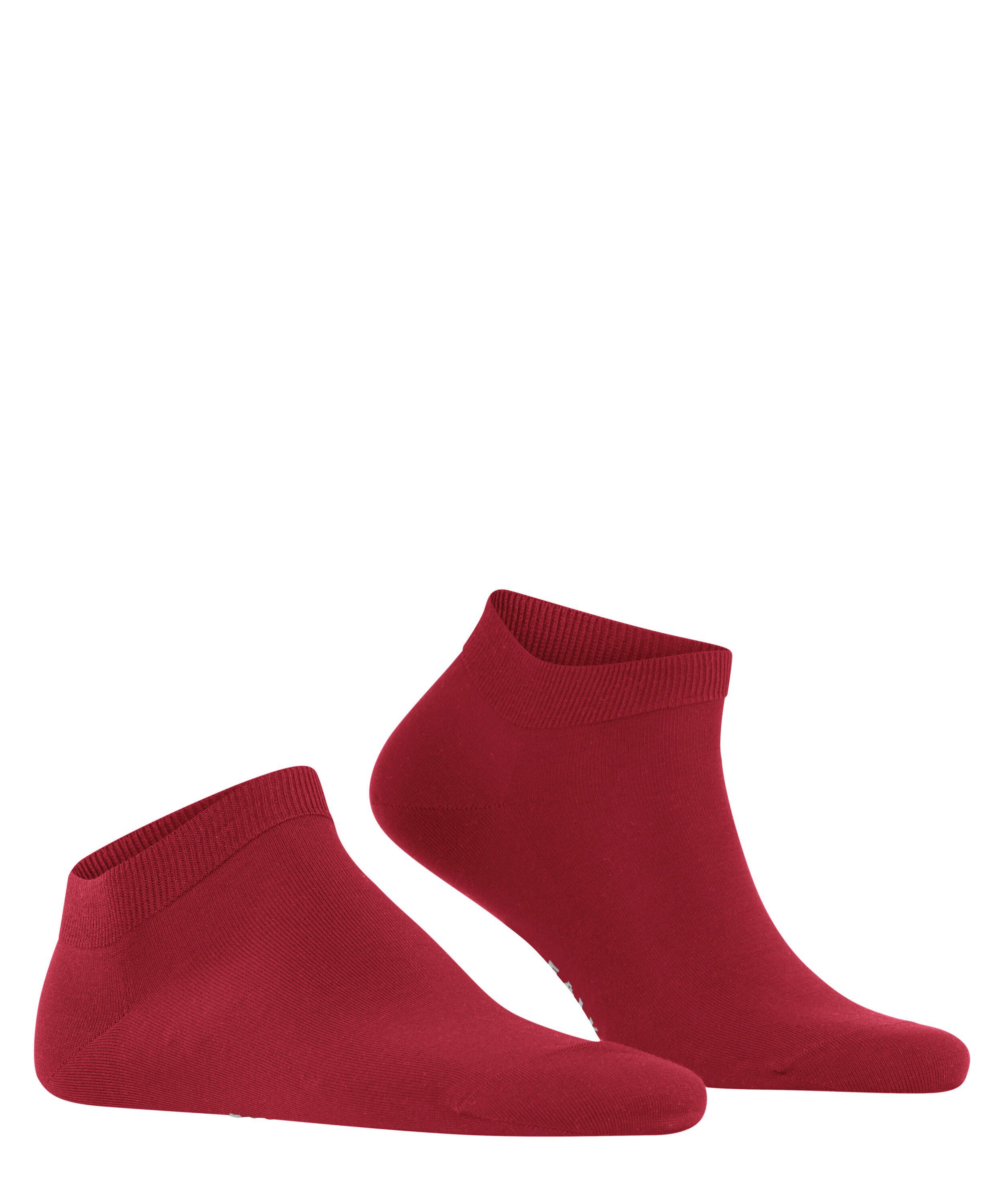 (8228) scarlet (1-Paar) nachhaltigem ClimaWool Garn FALKE Sneakersocken mit