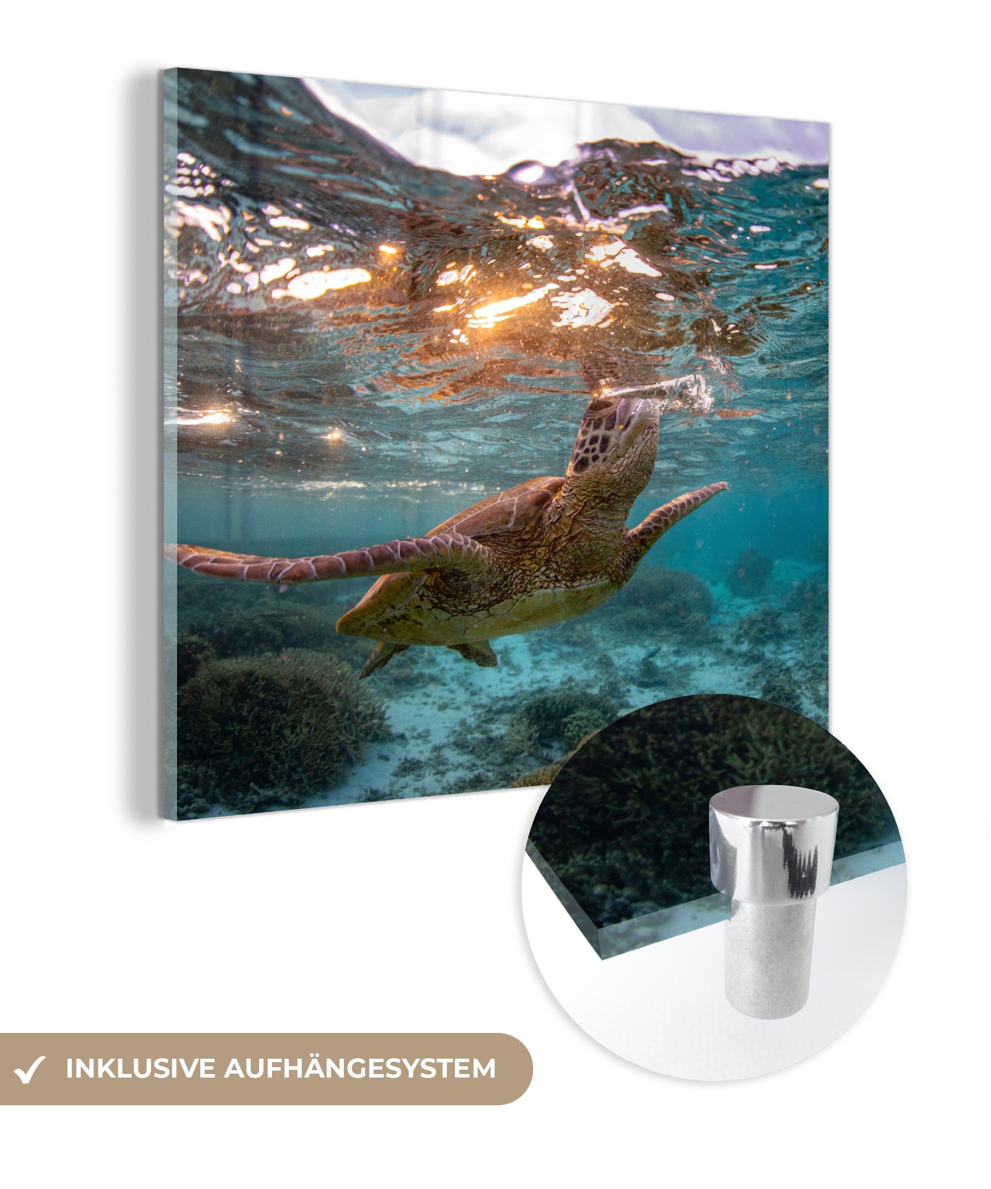 MuchoWow Acrylglasbild Meer - Schildkröte - Farben, (1 St), Glasbilder - Bilder auf Glas Wandbild - Foto auf Glas - Wanddekoration