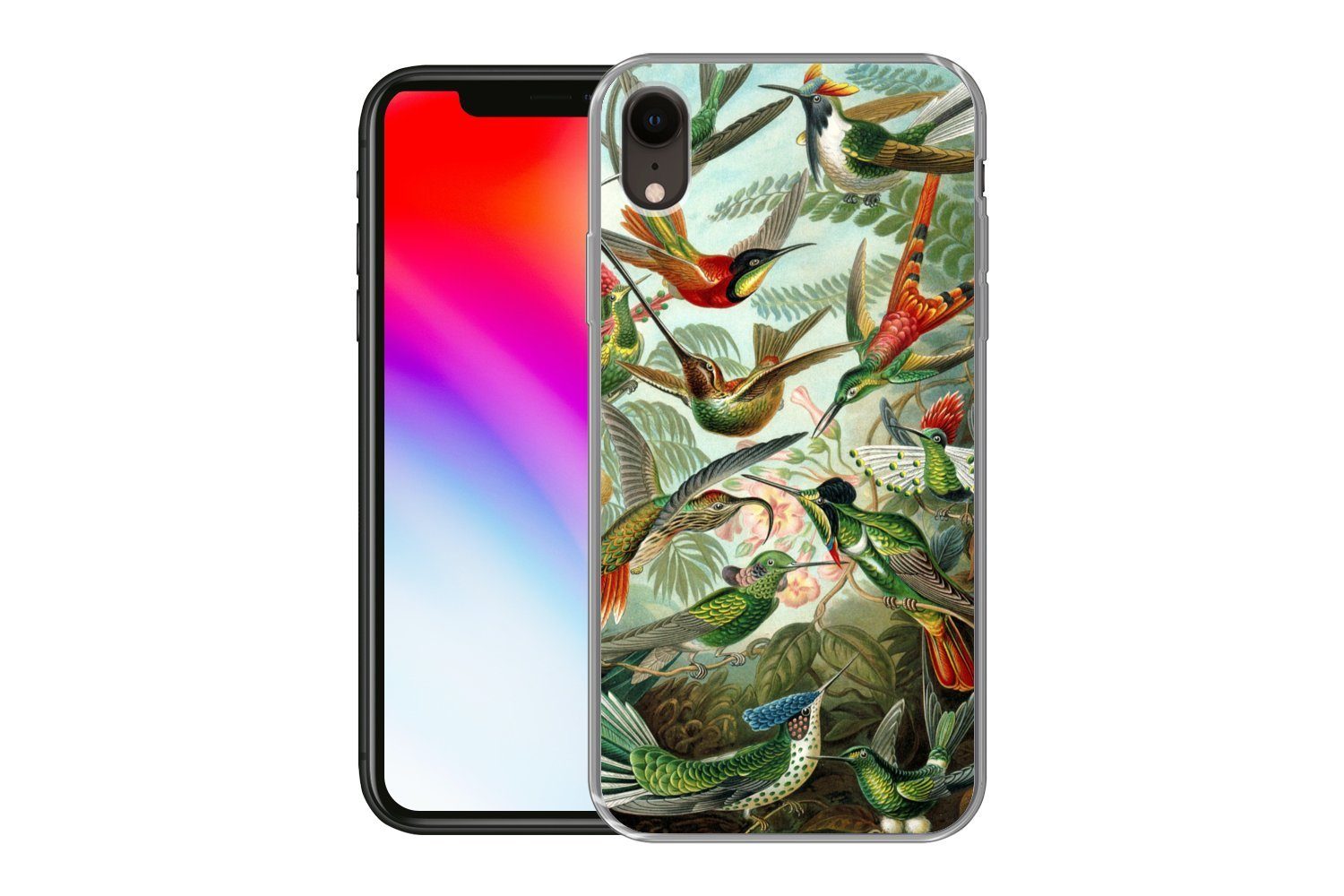 MuchoWow Handyhülle für Apple iPhone XR Trochilidae - Alte Meister - Kunst, Smartphone-Bumper, Print, Handy Schutzhülle Dünn