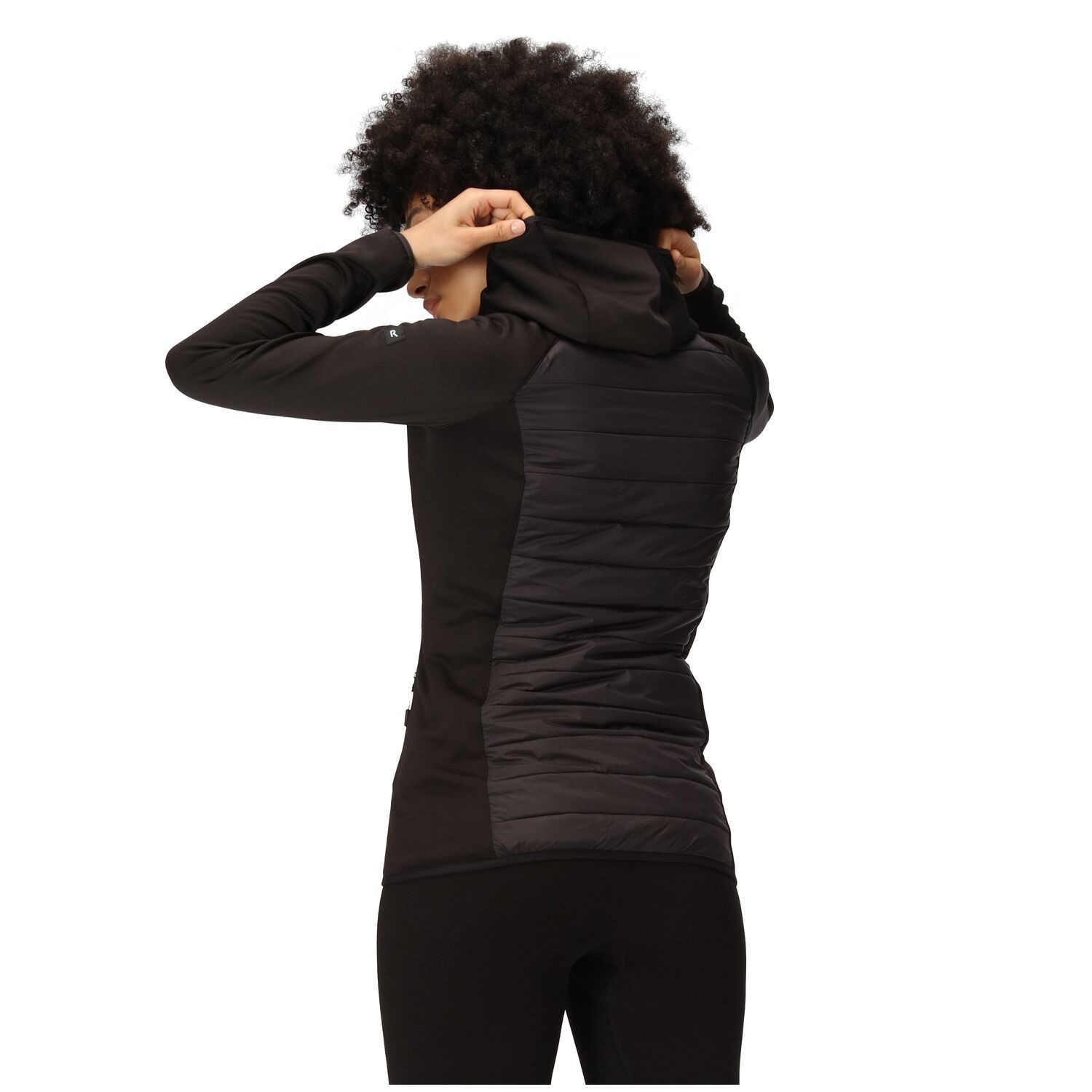 Regatta Steppjacke Softshelljacke Andreson VIII Hybrid günstig online kaufen