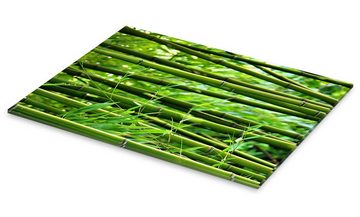Posterlounge Acrylglasbild Gabi Siebenhühner, Bambus I, Badezimmer Fotografie