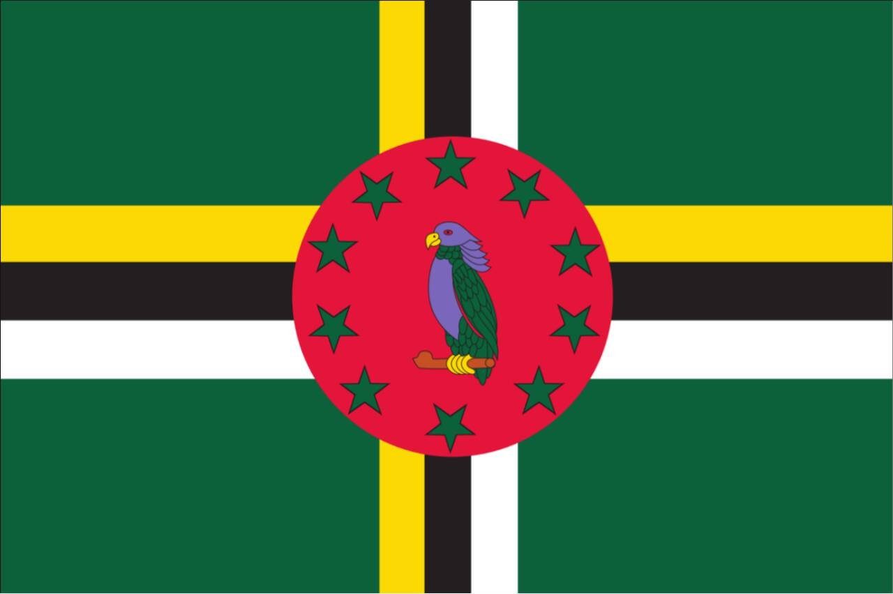 g/m² Flagge 110 Querformat Flagge flaggenmeer Dominica