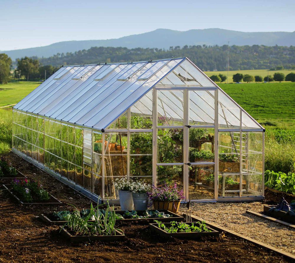 Palram - Canopia Gewächshaus, x 257  | ...