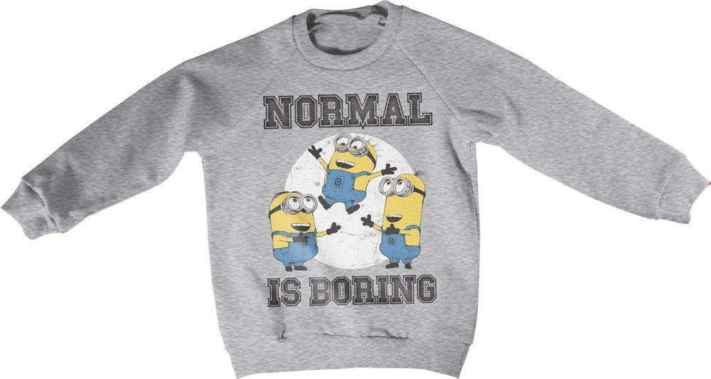 Minions Hoodie