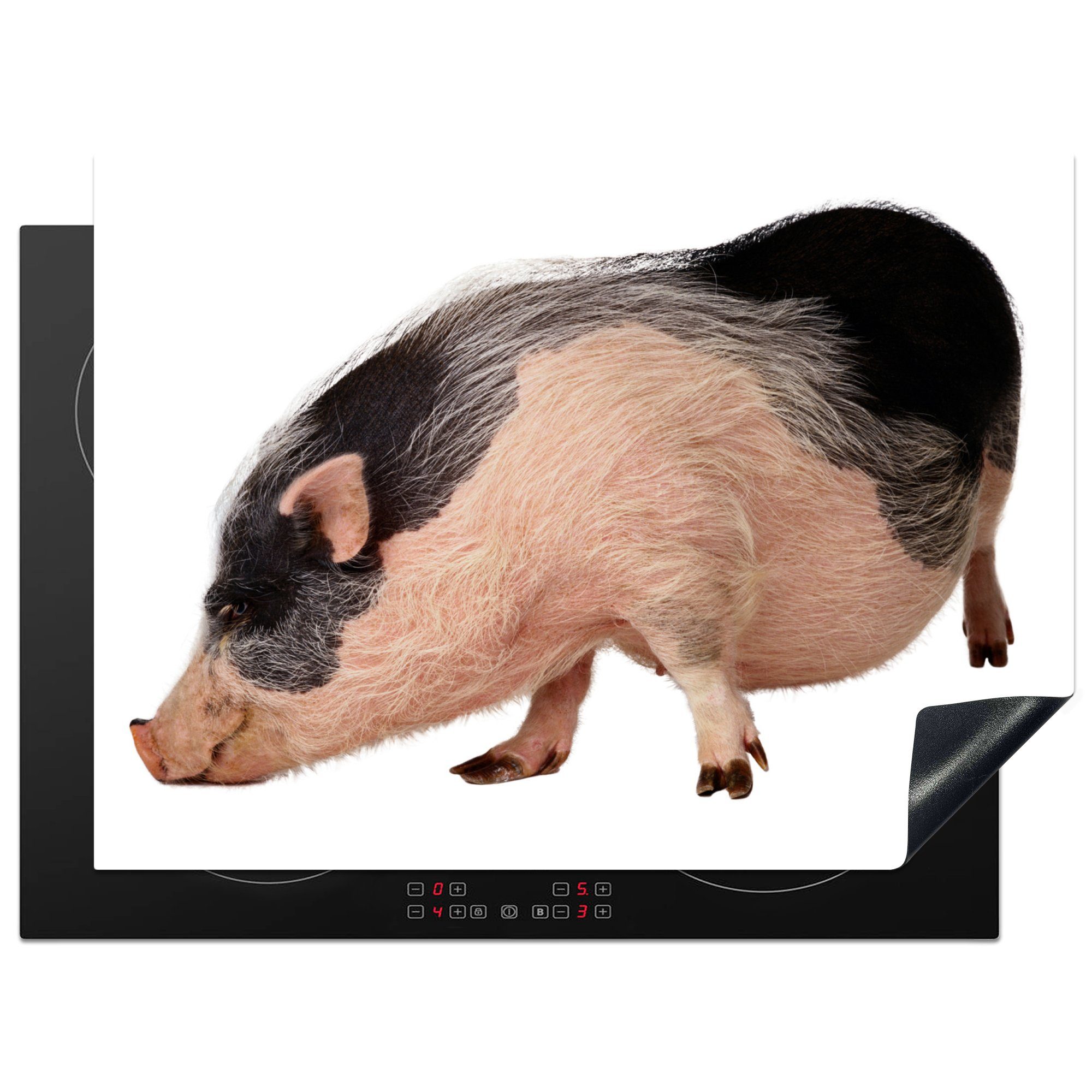 MuchoWow Herdblende-/Abdeckplatte Arbeitsfläche Mobile Vinyl, Hängebauchschwein Tiere, Ceranfeldabdeckung (1 tlg), nutzbar, - Weiß 70x52 cm, 