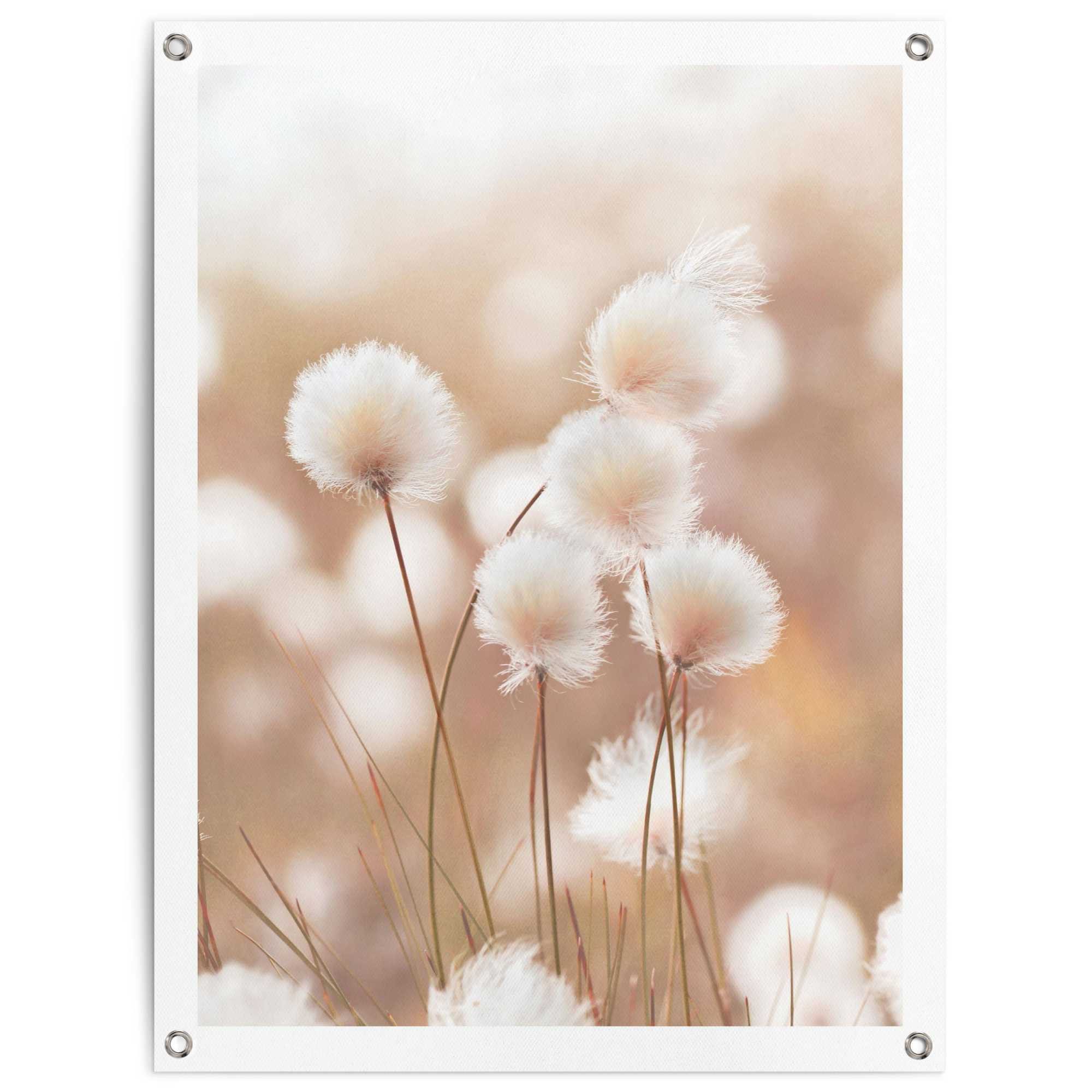 Reinders! Poster Baumwollzweig, Garten - Trockenblume - Beige - Leinwand - Blumen und Pflanzen