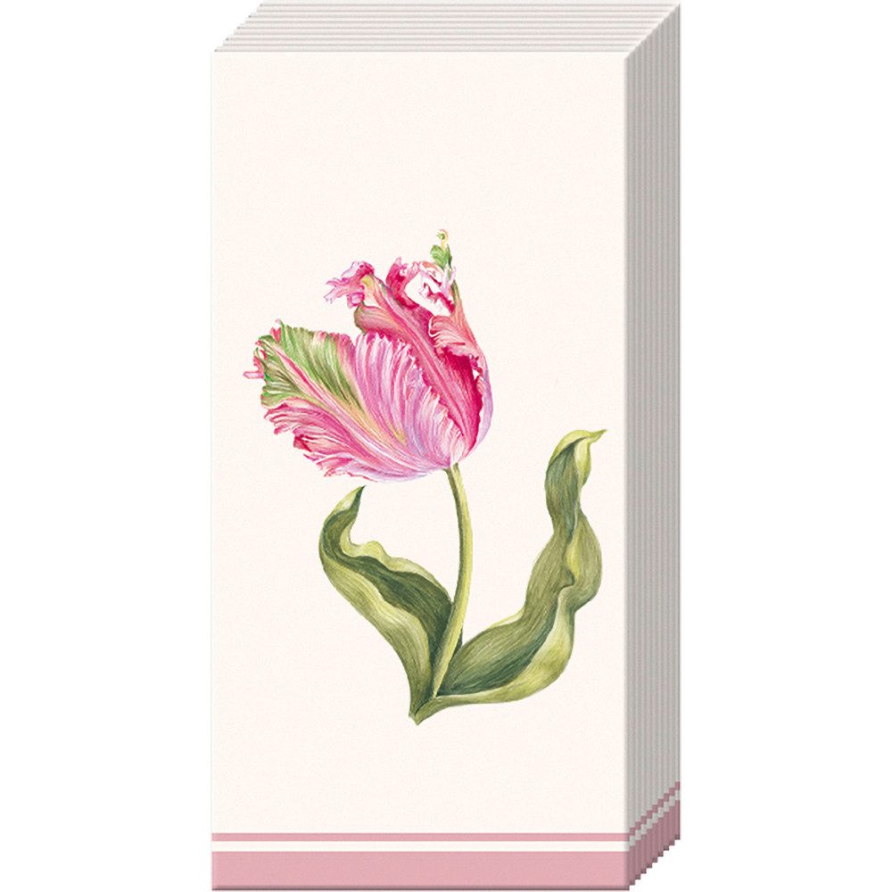 IHR Papierserviette Papiertaschentücher 'Driselle', (10 St), 10 Stück