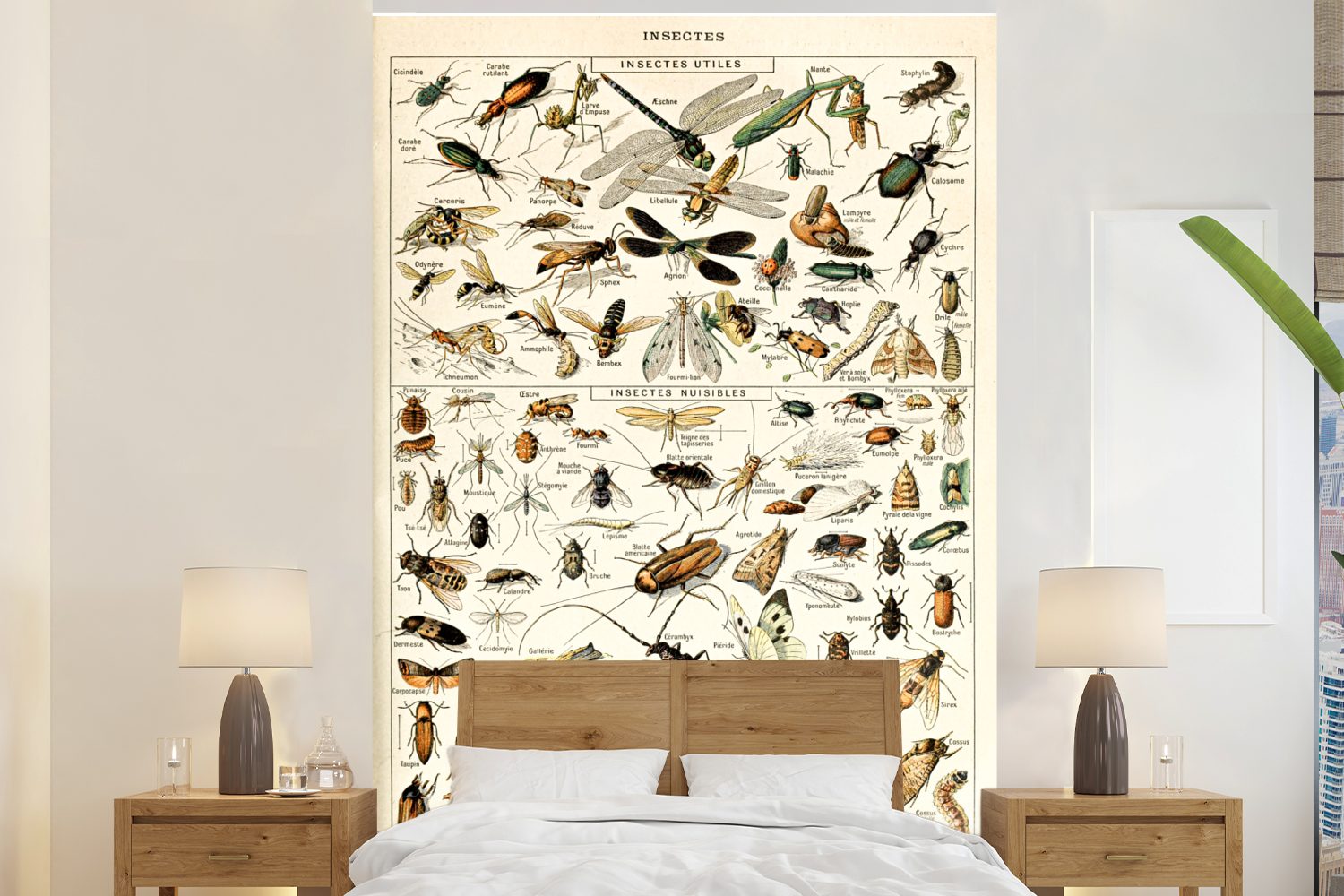 MuchoWow Fototapete Tier - Insekt - Käfer, Matt, bedruckt, (3 St), Montagefertig Vinyl Tapete für Wohnzimmer, Wandtapete