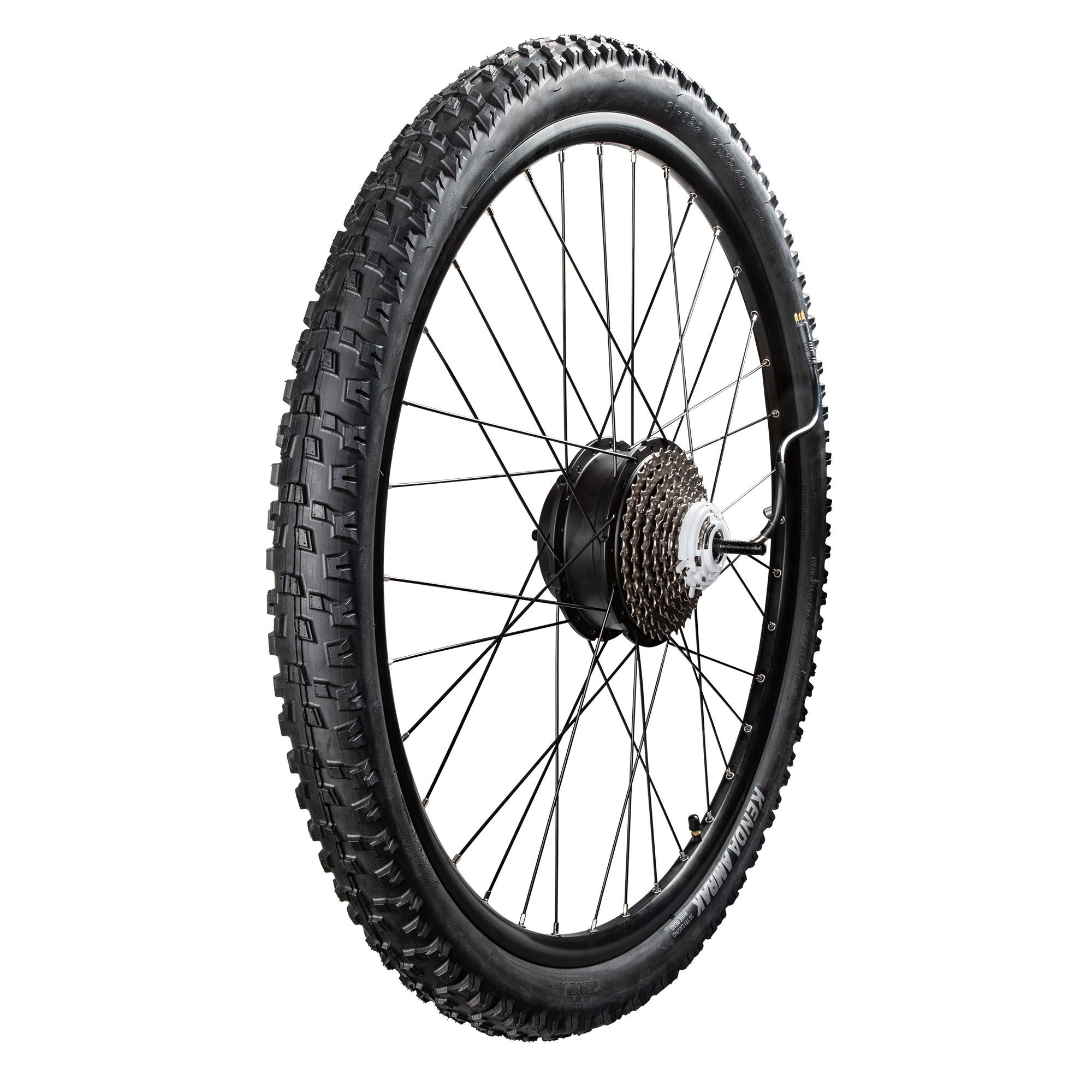 Remington Fahrrad-Laufrad XR01 (1 St), Hinterrad Komplettrad Elektro Fahrrad Reifen mit Felge 29 x 2,40 Motor