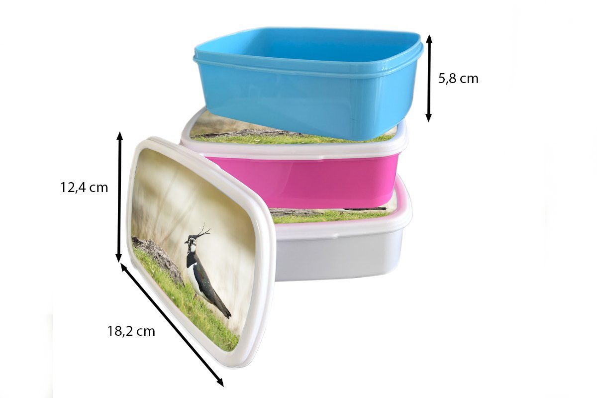 Tiere Natur MuchoWow - Gras Lunchbox - und Brotbox Vogel Kiebitz, weiß Erwachsene, - Kunststoff, (2-tlg), Jungs - Brotdose, und für Mädchen für Kinder
