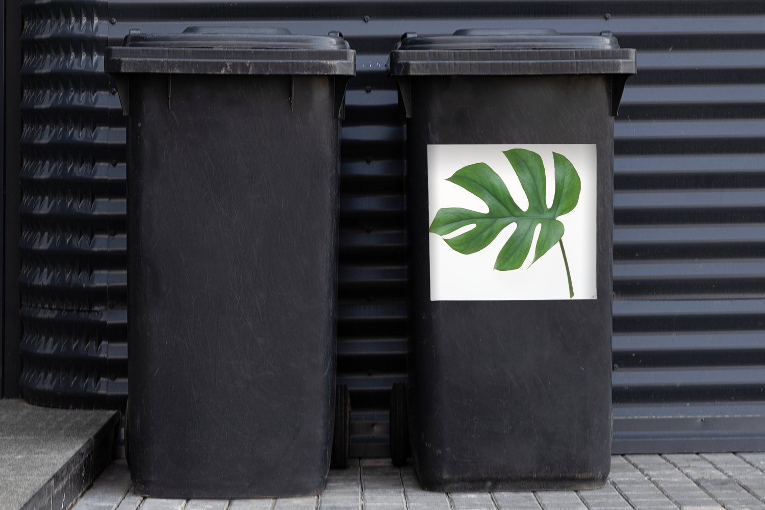 (1 weißem Container, Abfalbehälter Mülltonne, Mülleimer-aufkleber, Hintergrund Wandsticker Sticker, MuchoWow auf Blatt St), Botanisches