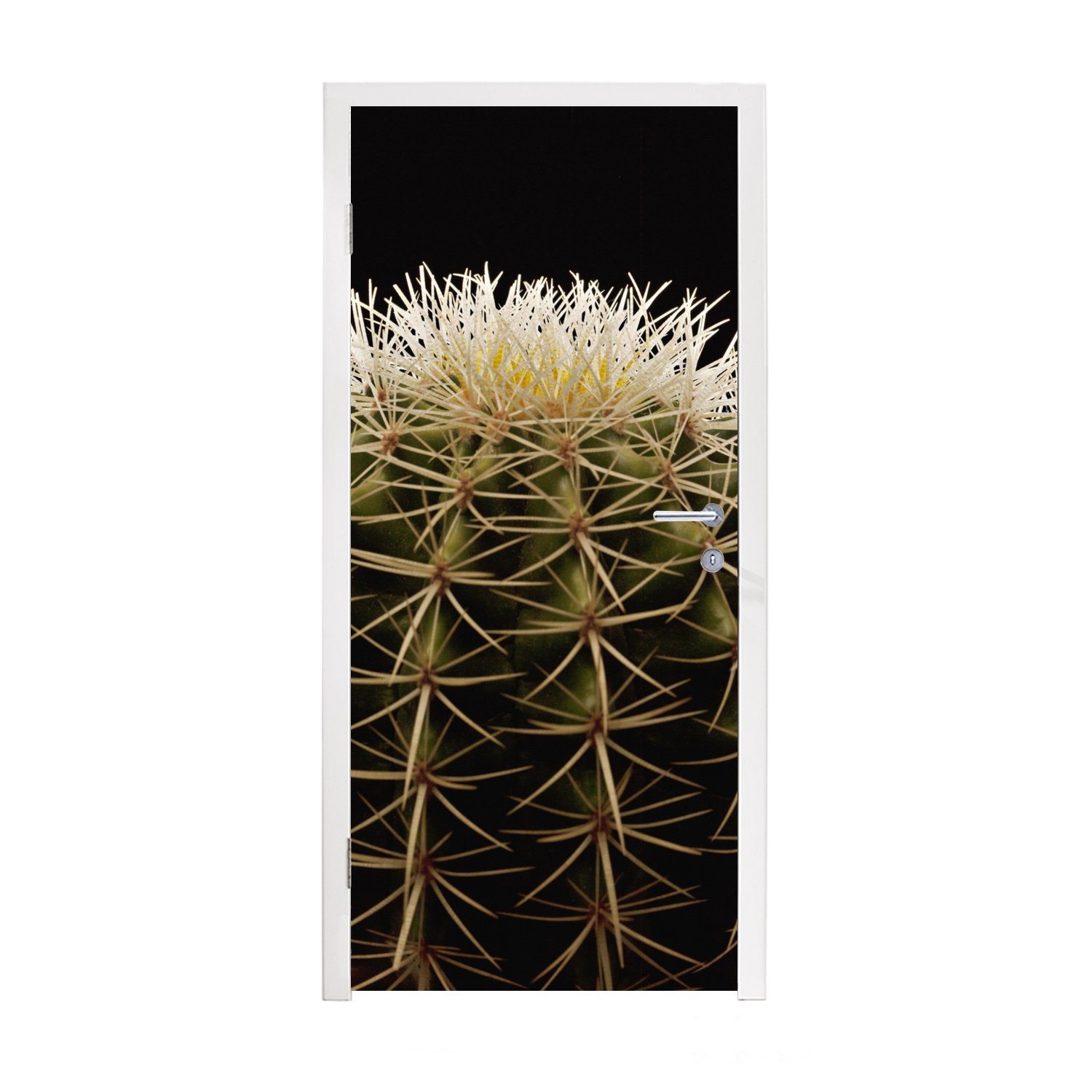 MuchoWow Türtapete Eine Nahaufnahme eines dornigen Kaktus auf schwarzem Hintergrund, Matt, bedruckt, (1 St), Fototapete für Tür, Türaufkleber, 75x205 cm