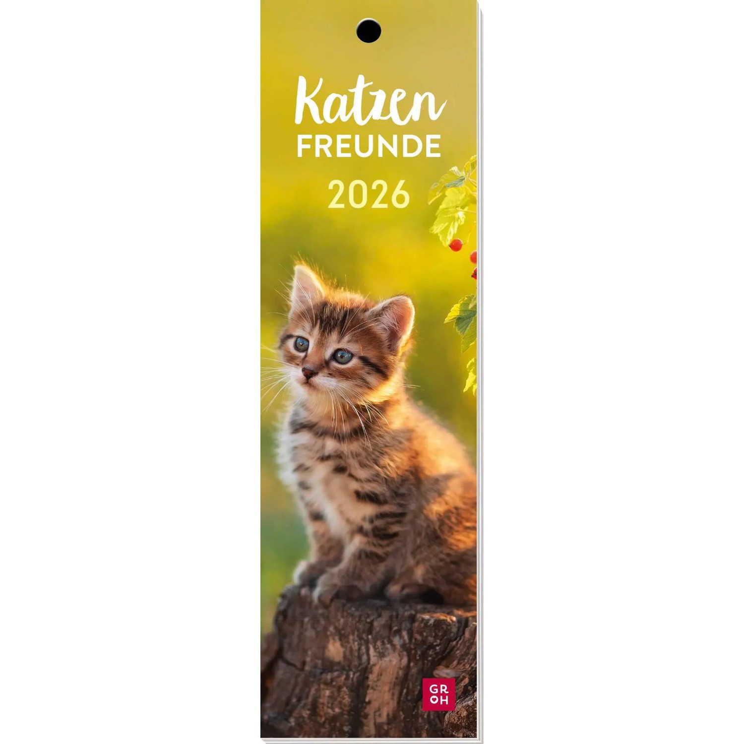 groh Verlag Monatskalender Lesezeichenkalender 2026: Katzenfreunde