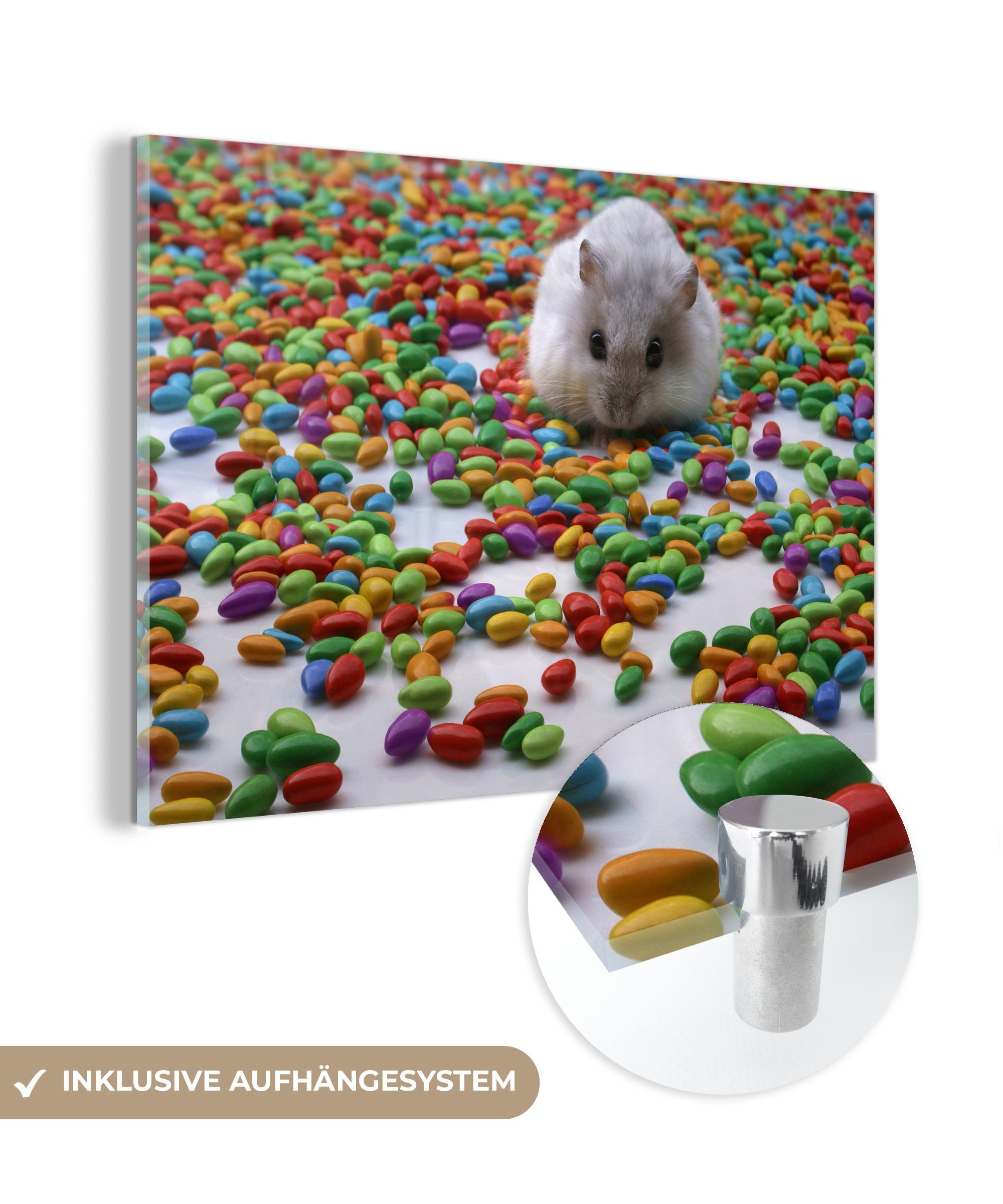 MuchoWow Acrylglasbild Hamster zwischen den bunten Bonbons, (1 St), Acrylglasbilder Wohnzimmer & Schlafzimmer