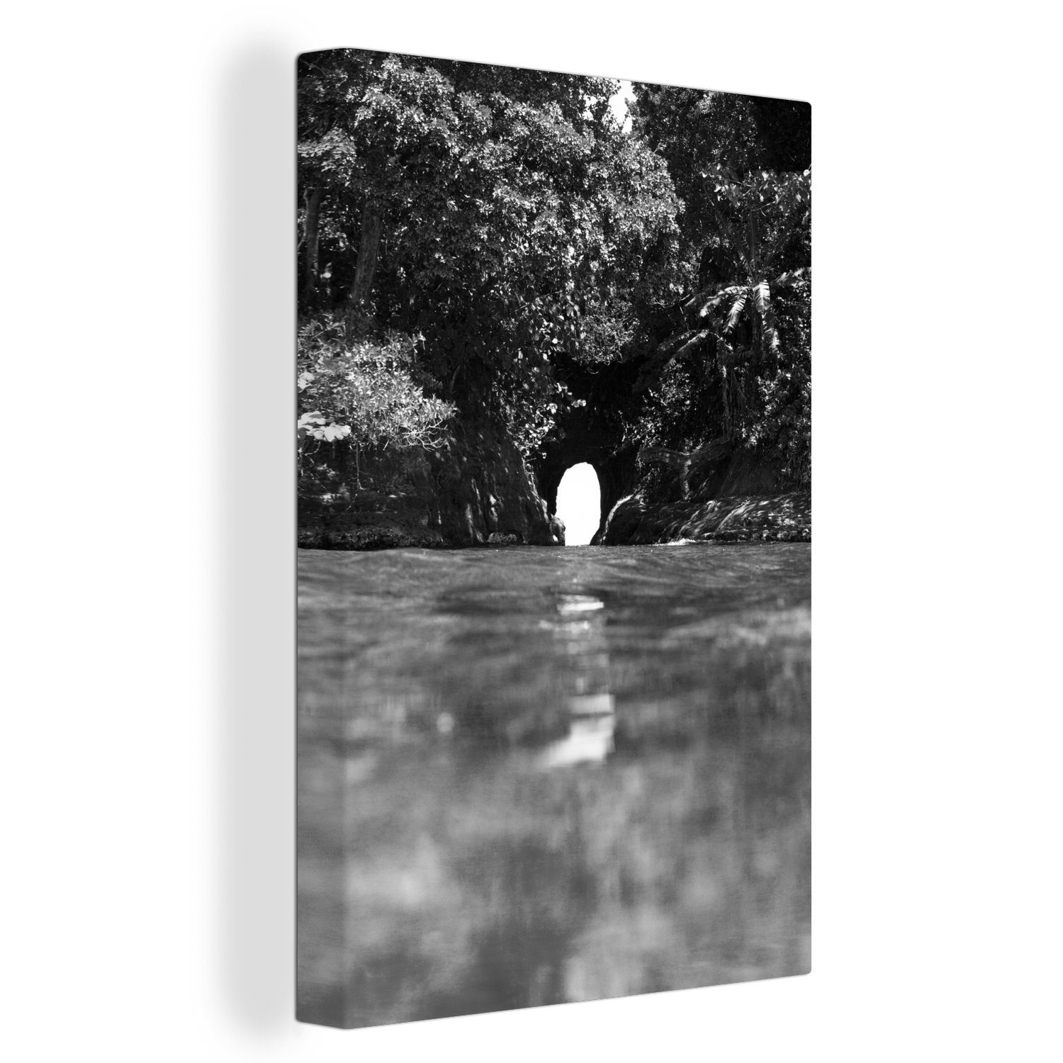 OneMillionCanvasses® Leinwandbild Loch in der Wand in der Natur von Costa Rica in schwarz und weiß, (1 St), Leinwandbild fertig bespannt inkl. Zackenaufhänger, Gemälde, 20x30 cm