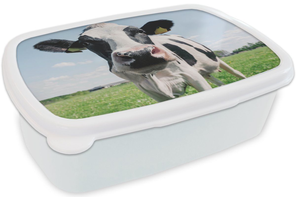 Jungs Mädchen MuchoWow - Kunststoff, Wiese - Brotbox für und Natur für (2-tlg), Lunchbox Brotdose, und Kuh Gras, weiß - - Erwachsene, Tiere Kinder