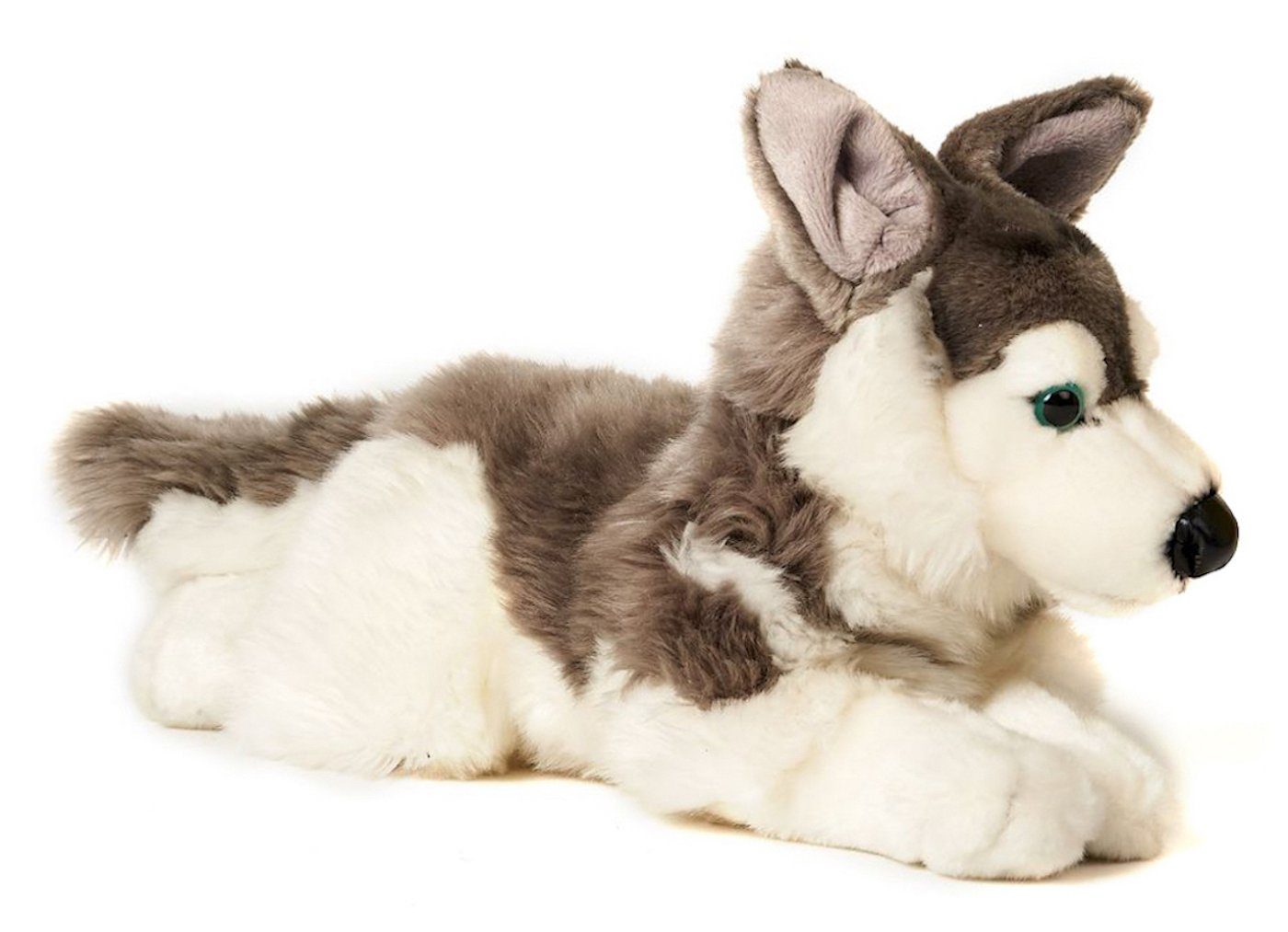 Plüsch-Hund Husky, Füllmaterial Plüschtier, - - Uni-Toys 40 liegend zu recyceltes - (Länge) cm Kuscheltier % 100