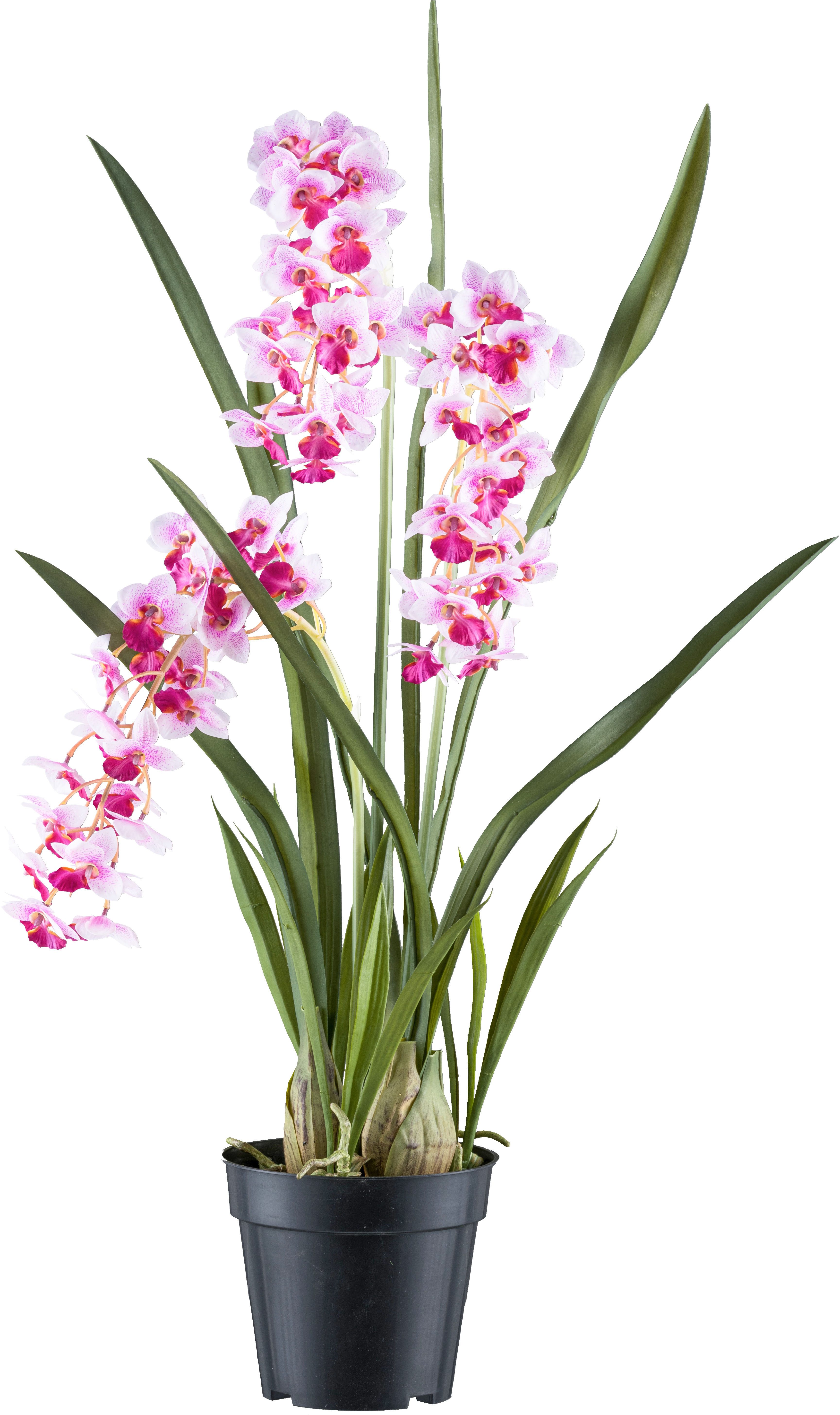 Kunstorchidee Orchidee Cymbidie orientalis, Creativ green, günstig online kaufen