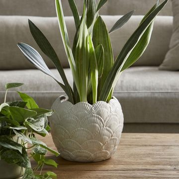 Rivièra Maison Blumentopf Vase Übertopf Muschel Shell (20cm)