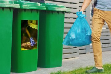 MuchoWow Wandsticker Frosch - Blau - Dschungel (1 St), Mülleimer-aufkleber, Mülltonne, Sticker, Container, Abfalbehälter