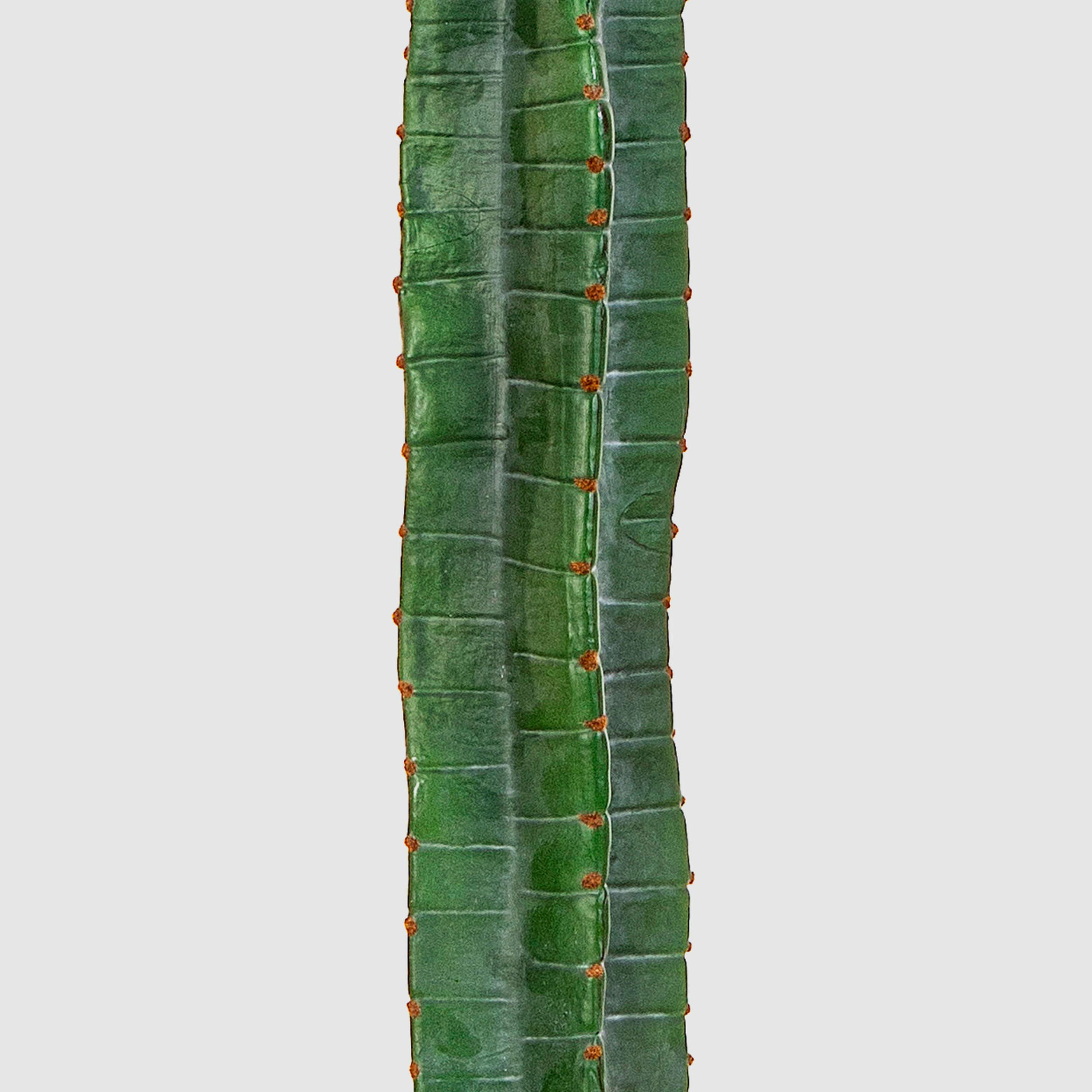 Kunstkaktus Deko Säulenkaktus ELKURUD, grün-rot, 180cm Säulenkaktus, artplants, Höhe 180.0 cm