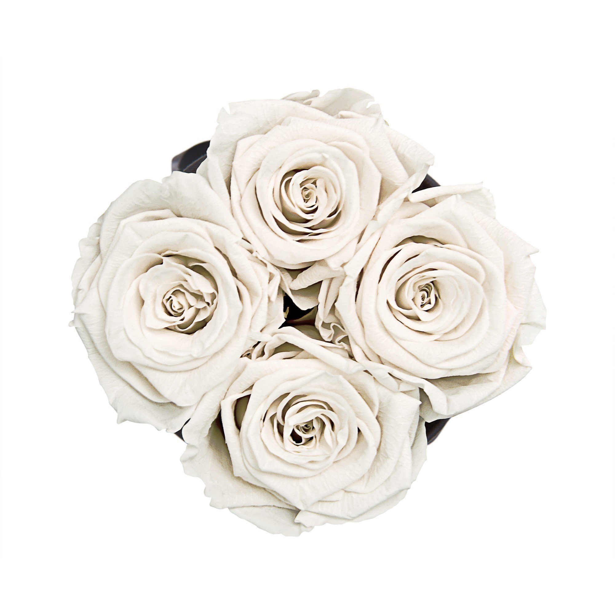 I Höhe Rosen 3 Infinity Echte, Blumen Rosenbox Infinity mit Kunstblume Rose, by Jahre haltbar White Holy Richter schwarz 4-5 I 11 Raul in Flowers, Runde konservierte duftende I cm Holy