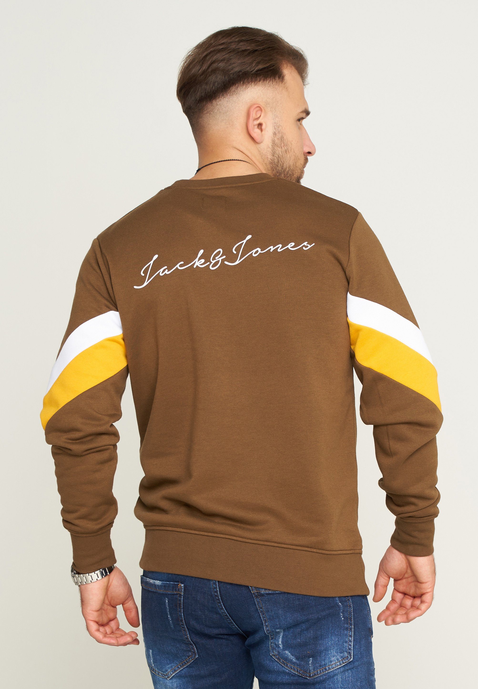 Jack & Jones Sweatshirt JACOB SWEAT Desert NECK INFINITY Palm CREW