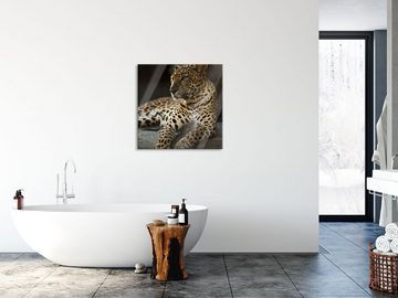 Pixxprint Glasbild Majestätischer Leopard, Majestätischer Leopard (1 St), Glasbild aus Echtglas, inkl. Aufhängungen und Abstandshalter