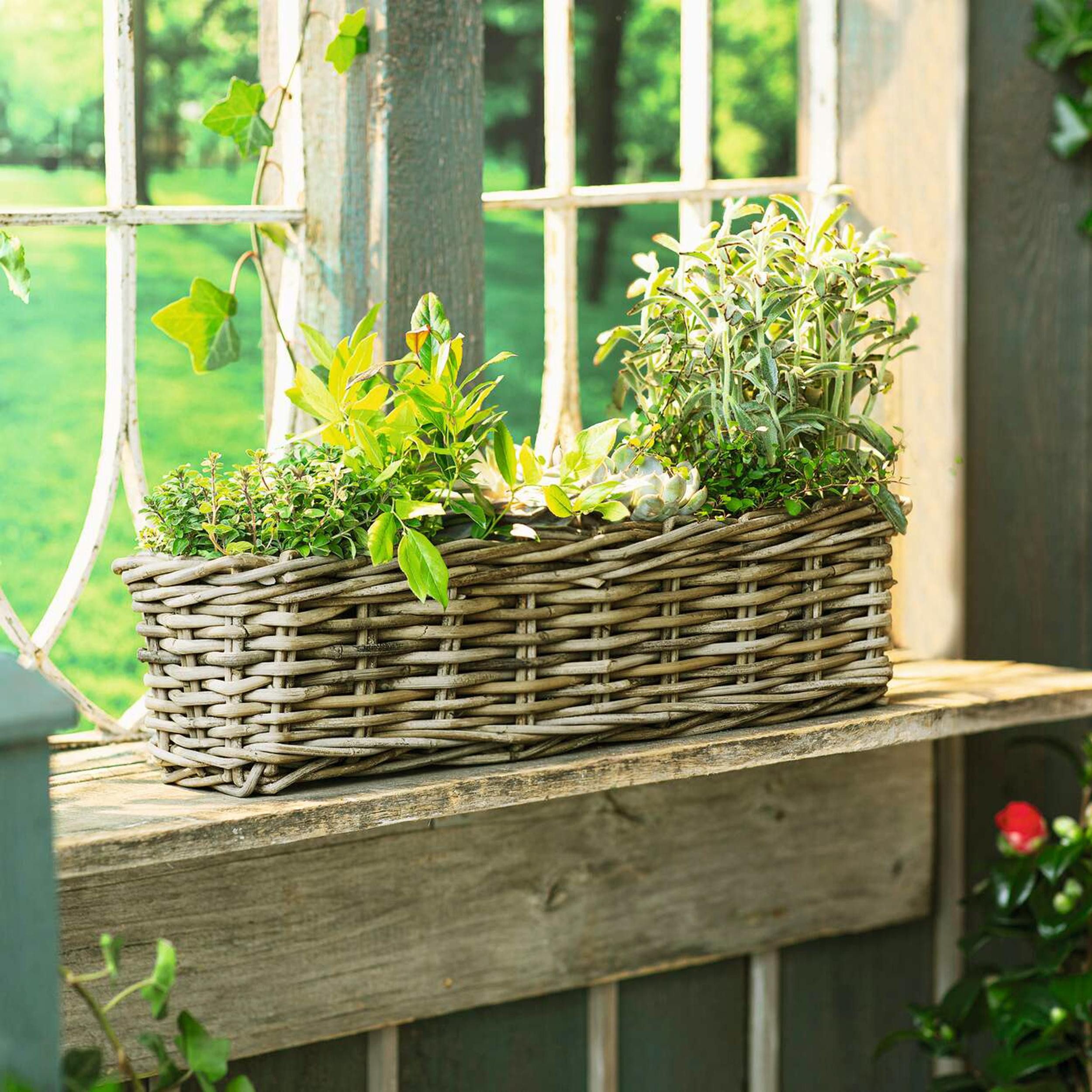 Thumbnail - Frank Flechtwaren Blumenkasten Pflanzkasten "Rattan", groß