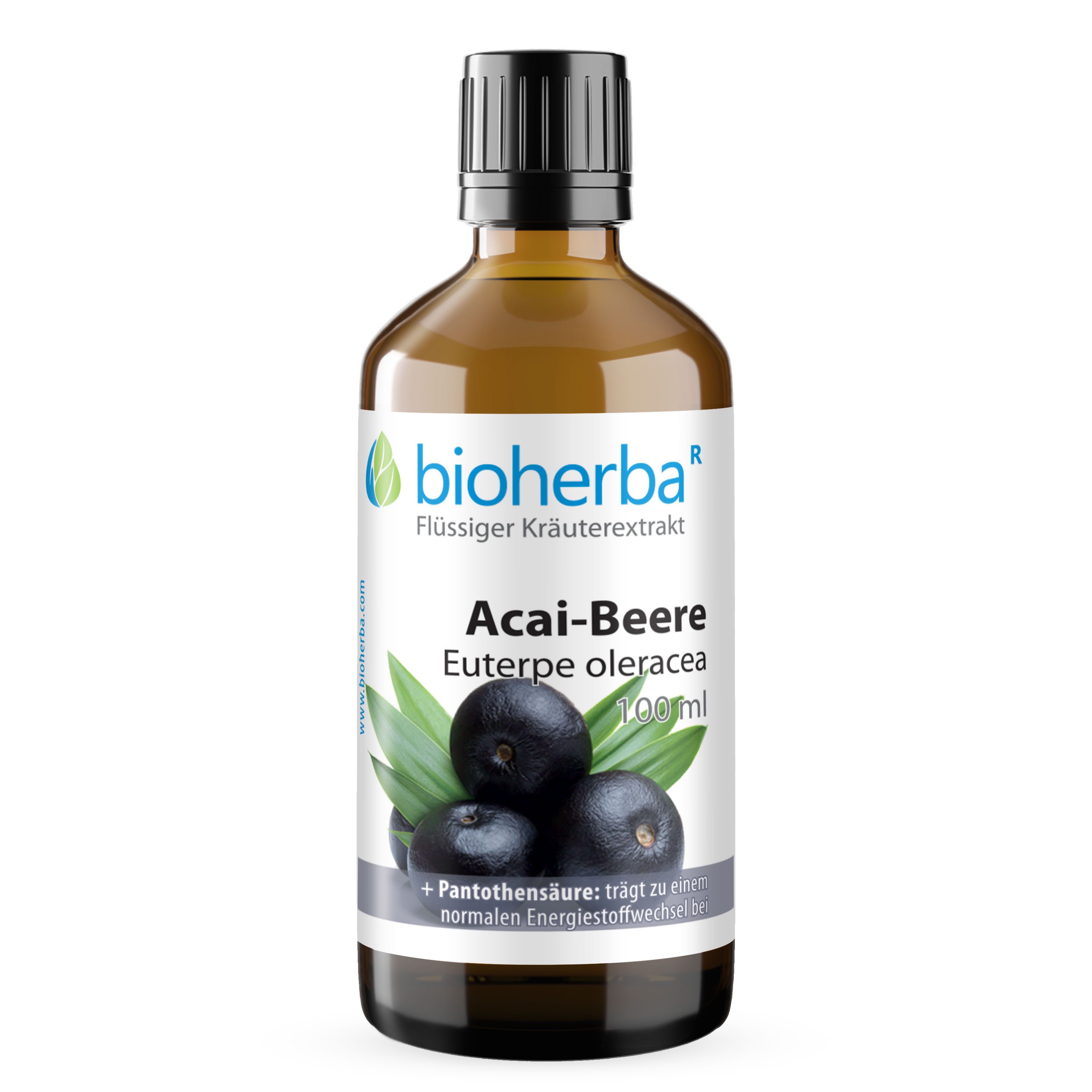 BIOHERBA R Bioherba Acai-Beere Euterpe oleracea Tropfen Tinktur 100 ml Tropfen, 1 er