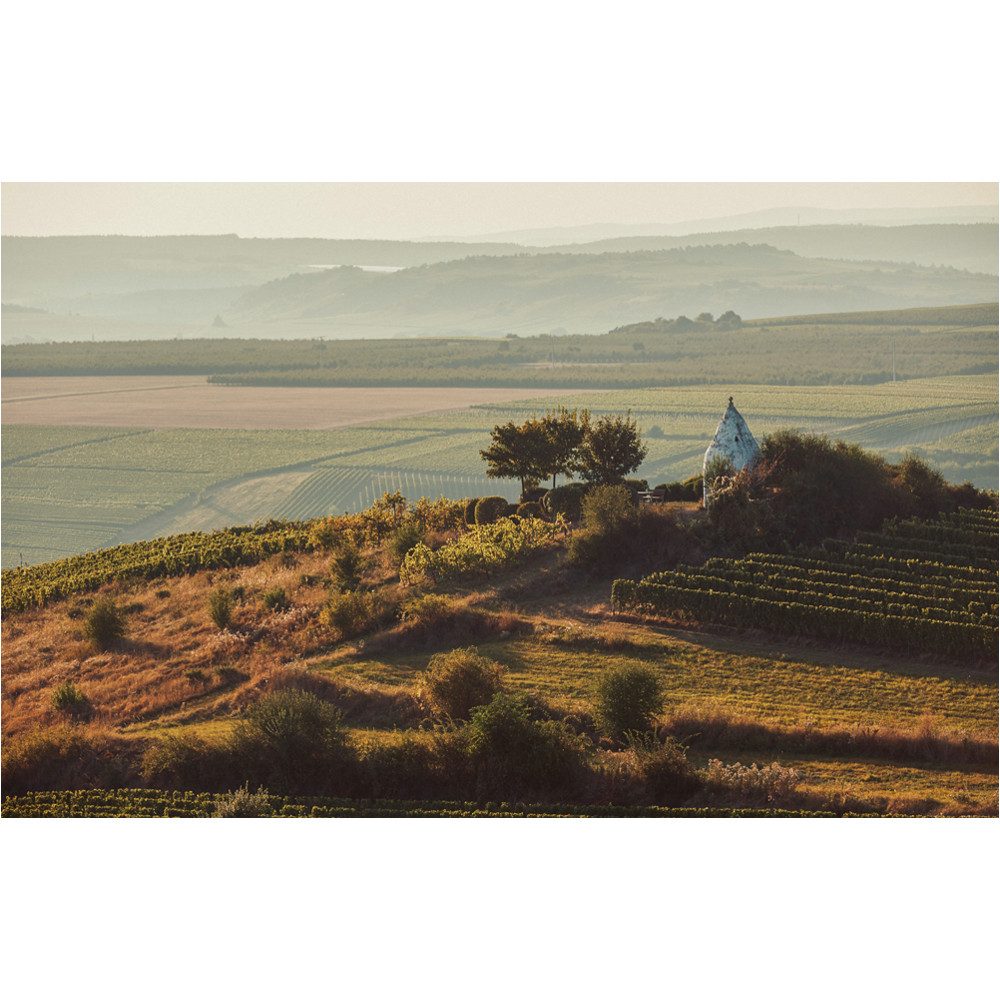 mydays Erlebnisgutschein Genusswandern in Rheinhessen Flonheim für 2 (1 Nacht), Aktivurlaub - Erholung mit Power