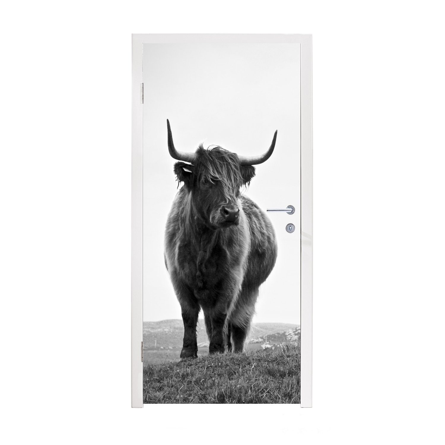 MuchoWow Türtapete Tiere - Schottische Hochlandbewohner - Schwarz und weiß - Natur -, Matt, bedruckt, (1 St), Fototapete für Tür, Türaufkleber, 75x205 cm