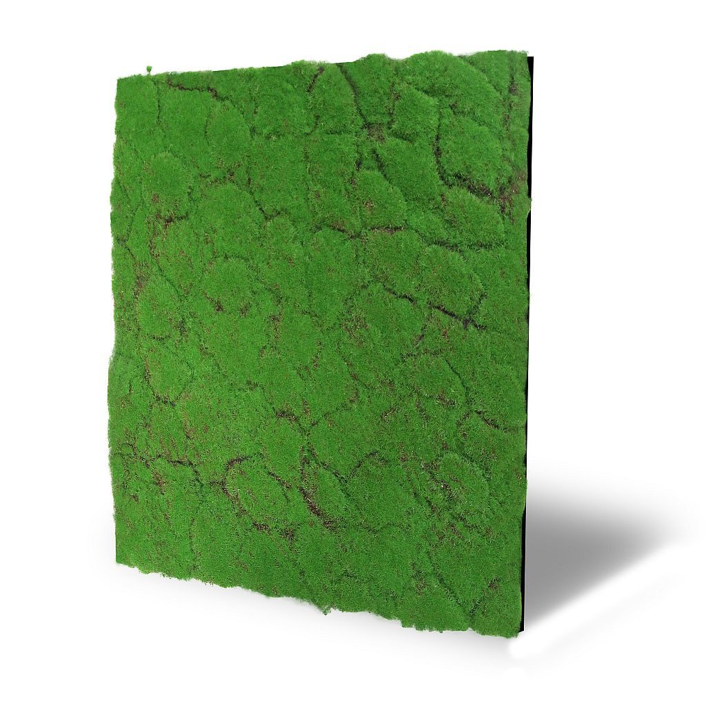 LEISTENHAMMER DER SOCKELLEISTEN SHOP Wandpaneel Wandpaneel Design Moos grün 52x52 3D Nature Wall Akustik Wall, BxL: 52x52 cm, 0.27 qm, (1-tlg) German Design Award 2024