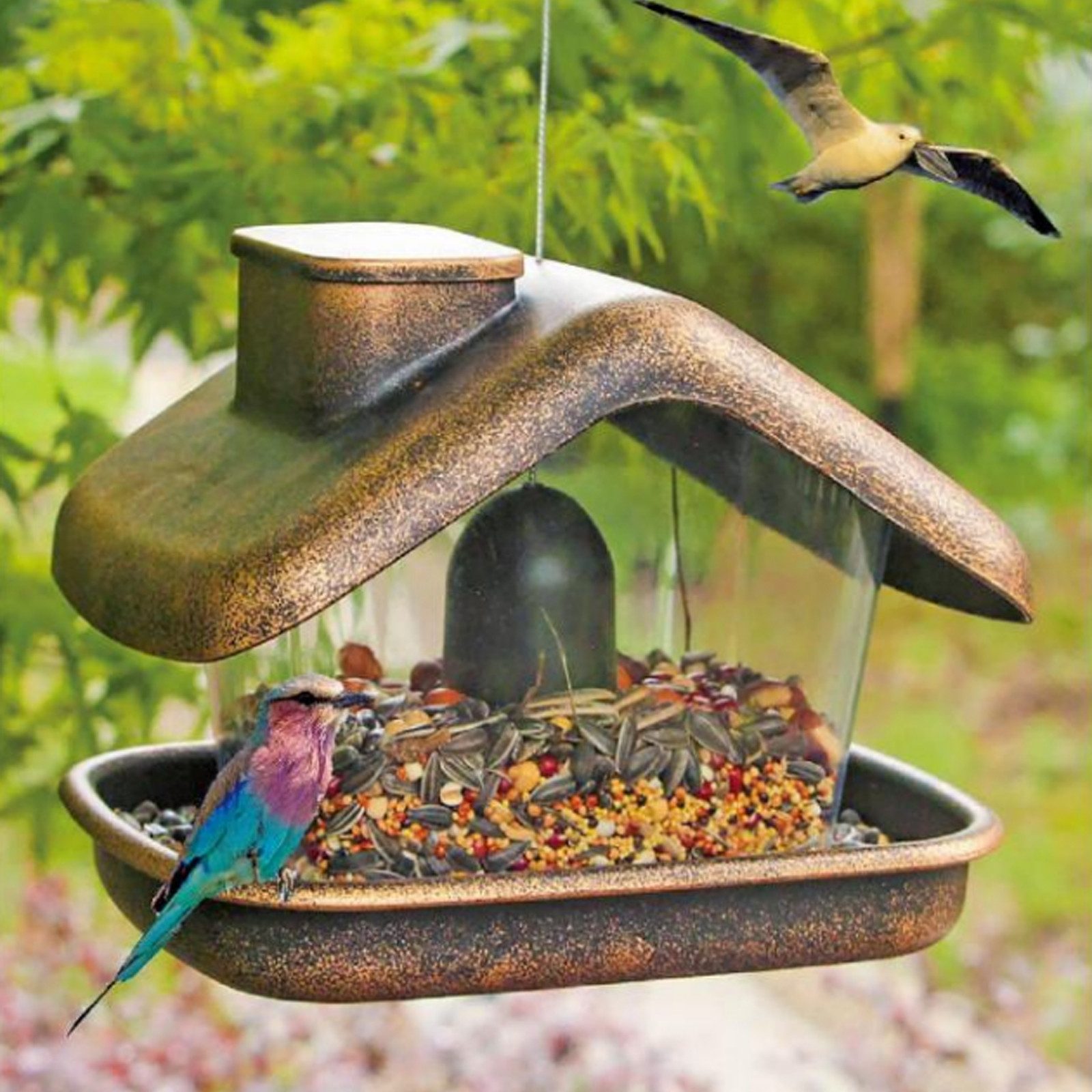 HTI-Living Futterspender Vogelfutterhaus Nessa Metallic Gold, Futterspender Kunststoff zum Hängen