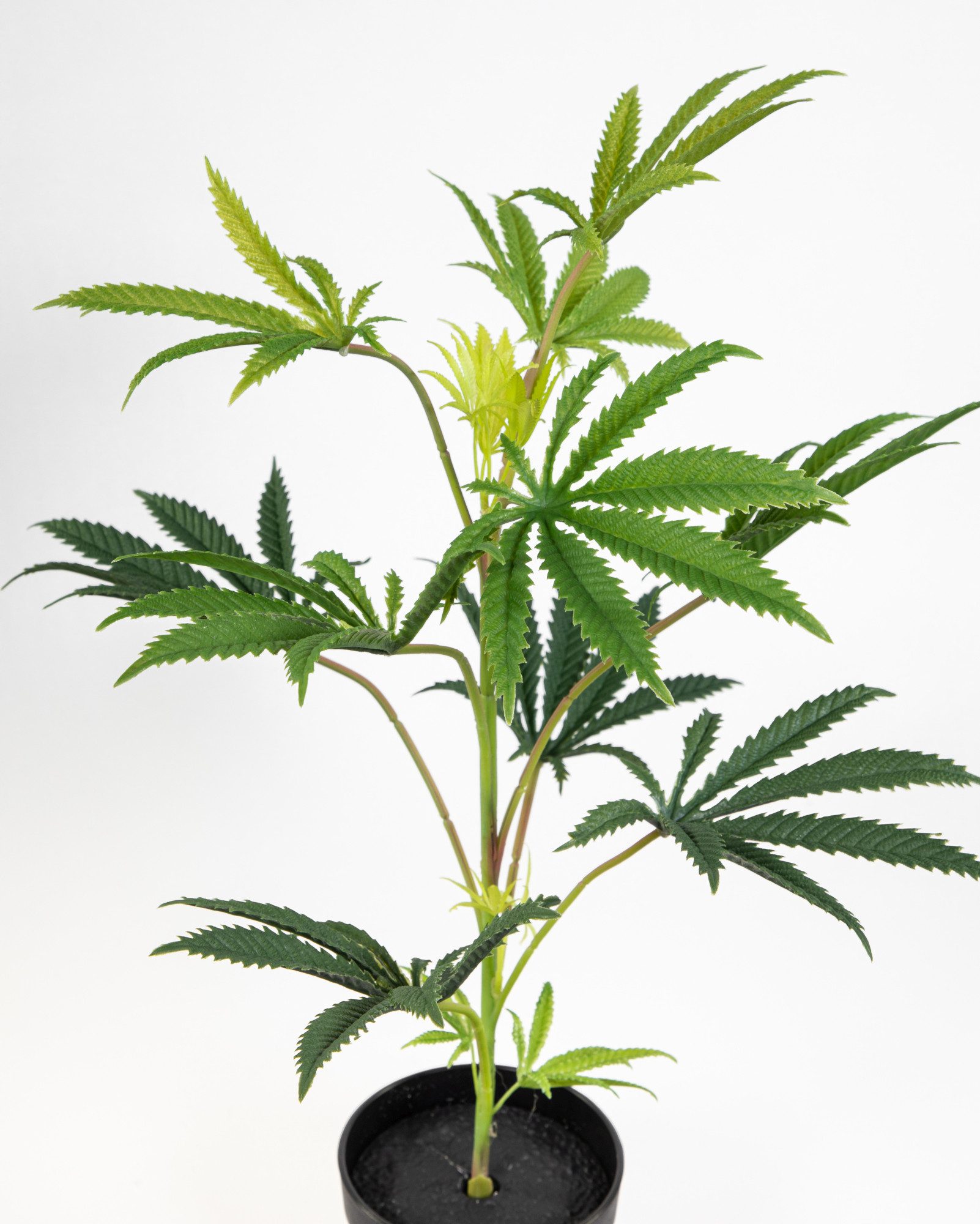 Kunstpflanze Hanfpflanze / Cannabispflanze 50cm im Topf DP künstlicher Cann günstig online kaufen