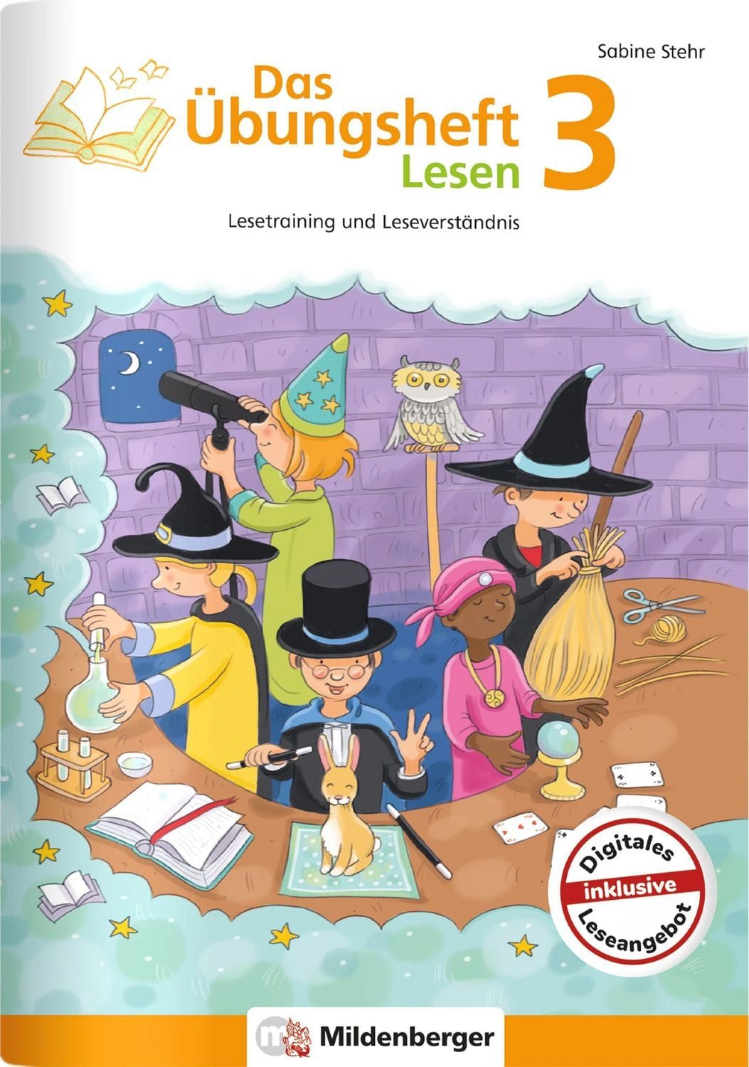 Das Übungsheft Lesen 3 / Sabine Stehr