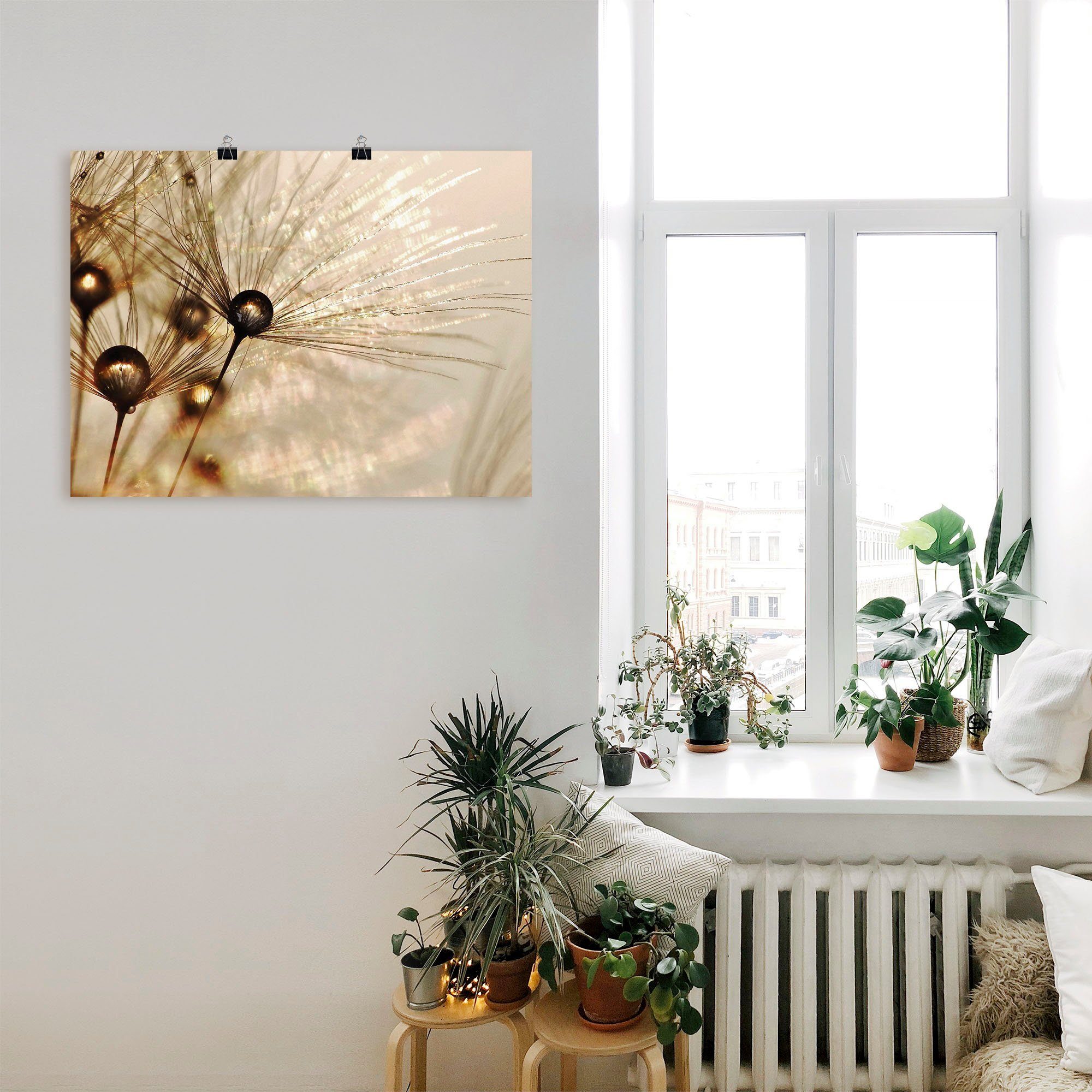 Artland Wandbild Pusteblume Goldener Tropfen, Blumen günstig online kaufen