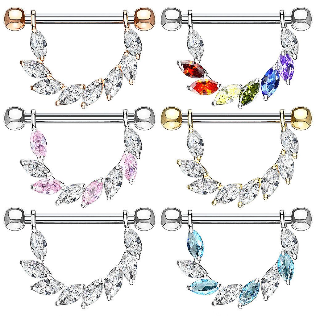 Taffstyle Intimpiercing Nippelpiercing Brustwarzenpiercing Barbell Kristall günstig online kaufen