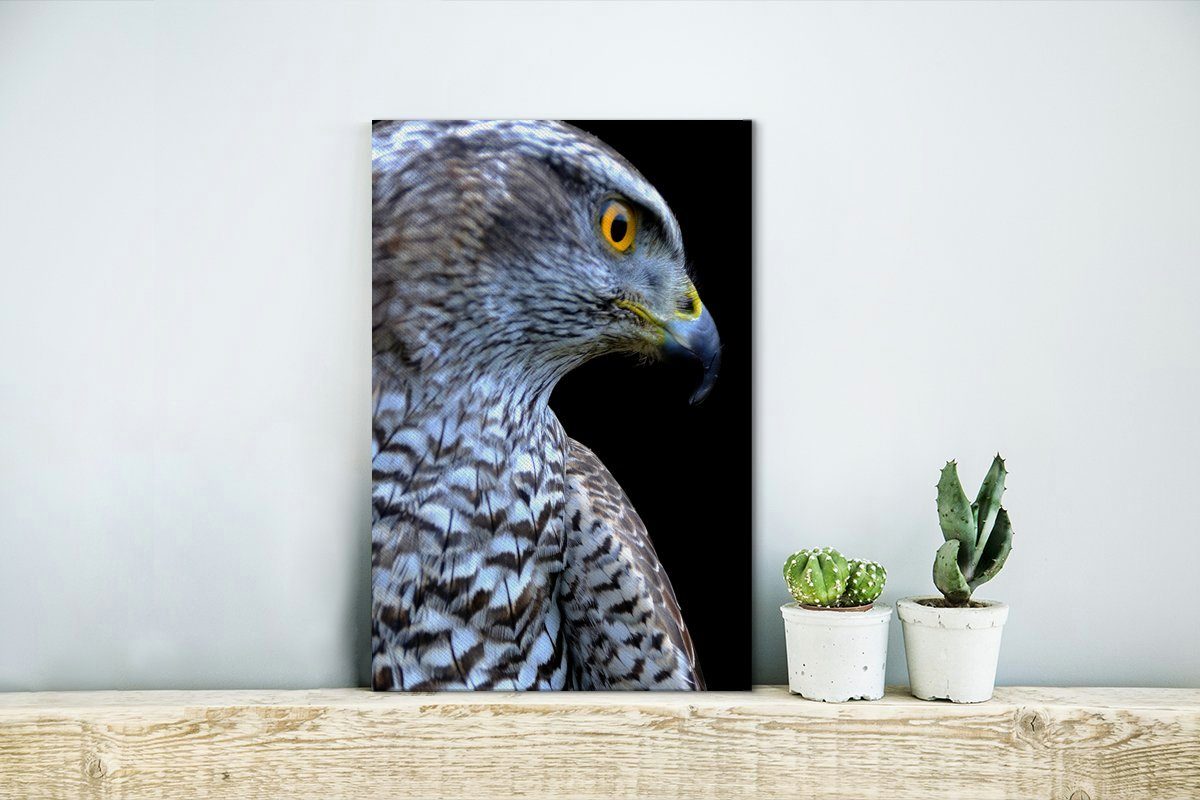 OneMillionCanvasses® Leinwandbild Nahaufnahme eines Falken bespannt schwarzen cm inkl. (1 vor Zackenaufhänger, St), Leinwandbild Gemälde, Hintergrund, einem fertig 20x30