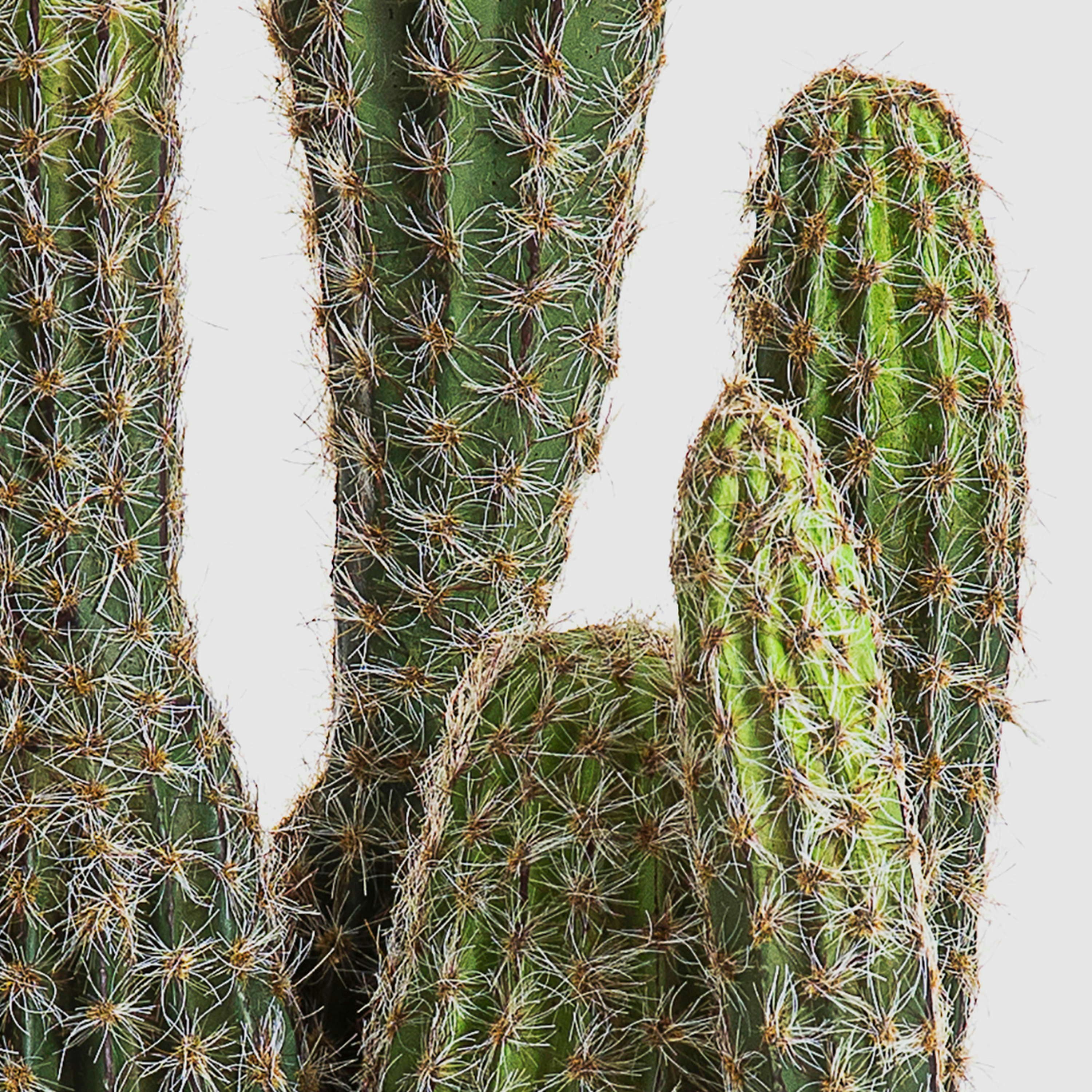 Kunstkaktus Kunst Kaktus San Pedro Farin, grün, 75cm San Pedro Kaktus, artplants, Höhe 75.0 cm