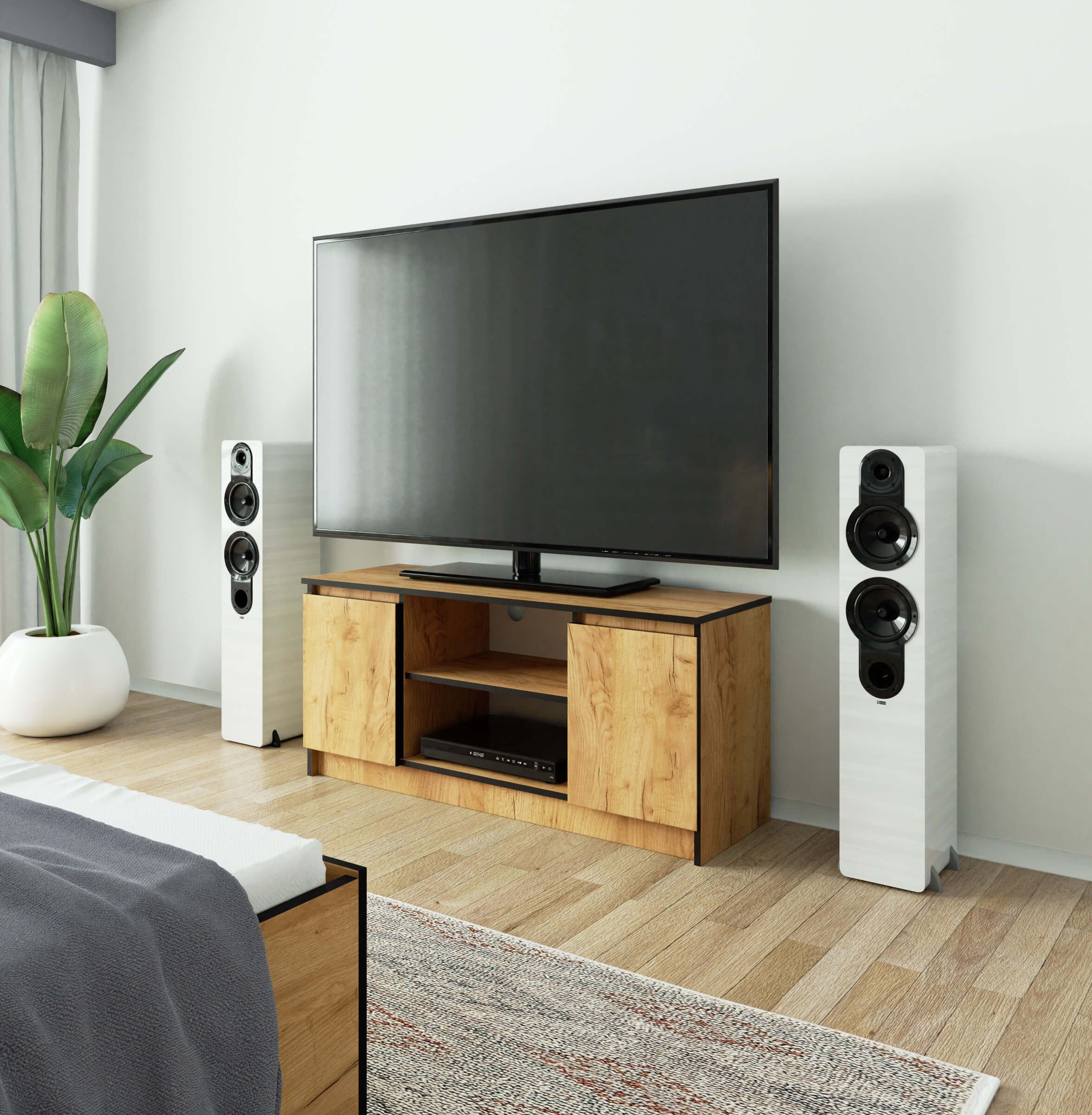 Raumhirsch Furniture Lowboard TV-Schrank - Elegantes Design für Ihr Wohnzimmer - TV-Möbel TV-Kommode, 120 cm für TV bis 65", 2 Türen, 2 Böden, bis 75 kg, kratzf – Bild 5 von 5