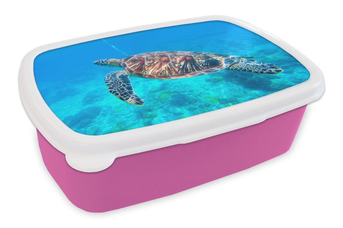 Erwachsene, für rosa - Mädchen, (2-tlg), Kunststoff Blau, Kunststoff, Schildkröte Snackbox, MuchoWow Meer - Kinder, Brotdose Brotbox Lunchbox