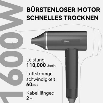 dibea Haartrockner Mit 110.000 U/min Hochgeschwindigkeit, 60m/s Luftstrom, 1600,00 W, mit Negativ-Ionen-Technologie Temperatur-Luftgeschwindigkeitsregelung