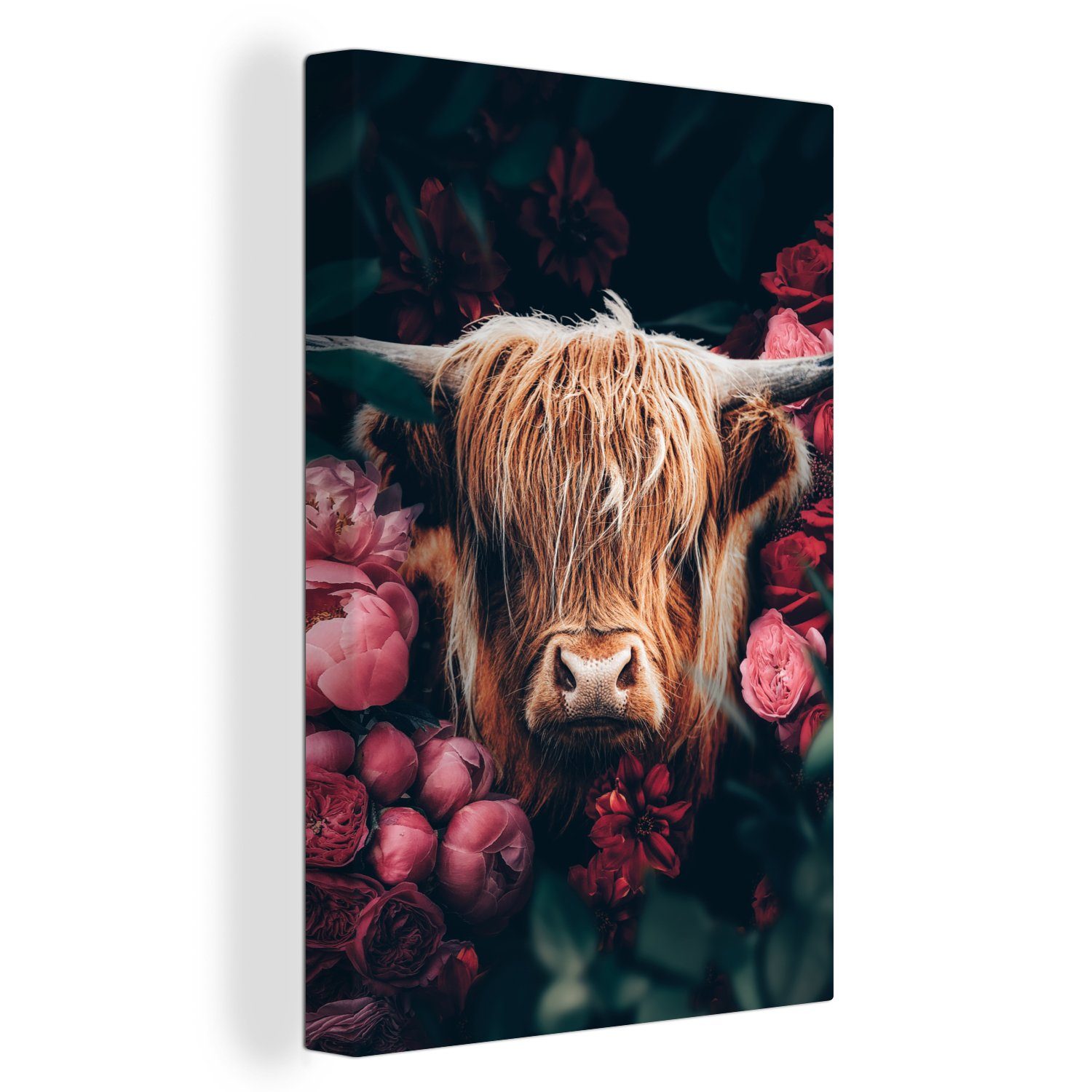 OneMillionCanvasses® Leinwandbild Kuh - Schottischer Highlander - Blumen - günstig online kaufen