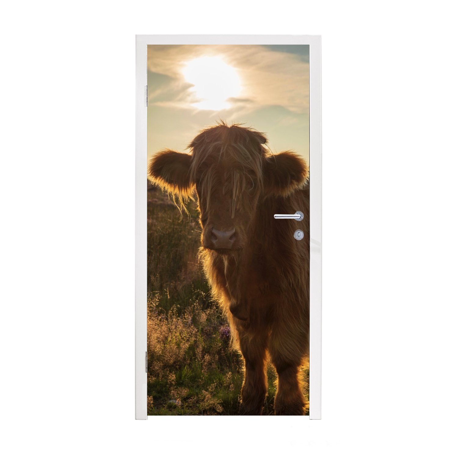 MuchoWow Türtapete Schottischer Highlander - Sonnenuntergang - Gras, Matt, bedruckt, (1 St), Fototapete für Tür, Türaufkleber, 75x205 cm | Türtapeten