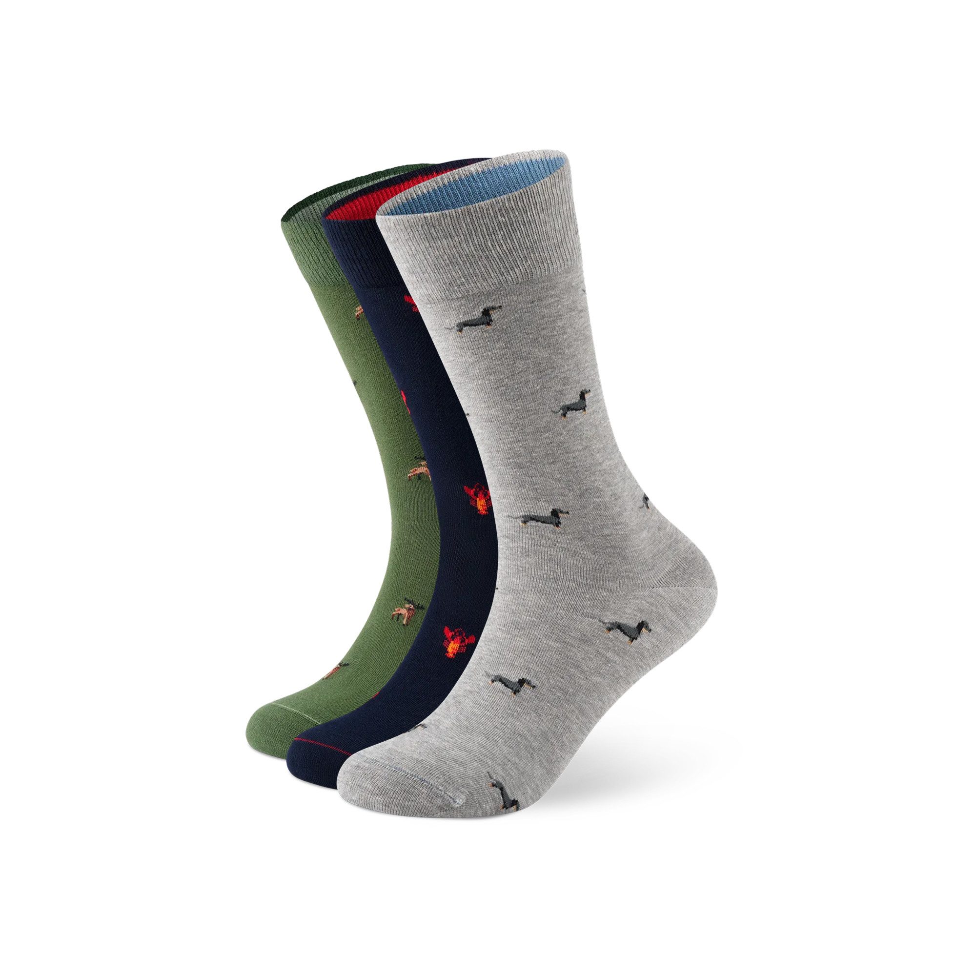 von Jungfeld Socken Signature Icons Mini Bundle Bio-Baumwolle 36-46 (3-Paar, 3 Paar, 6 Paar)