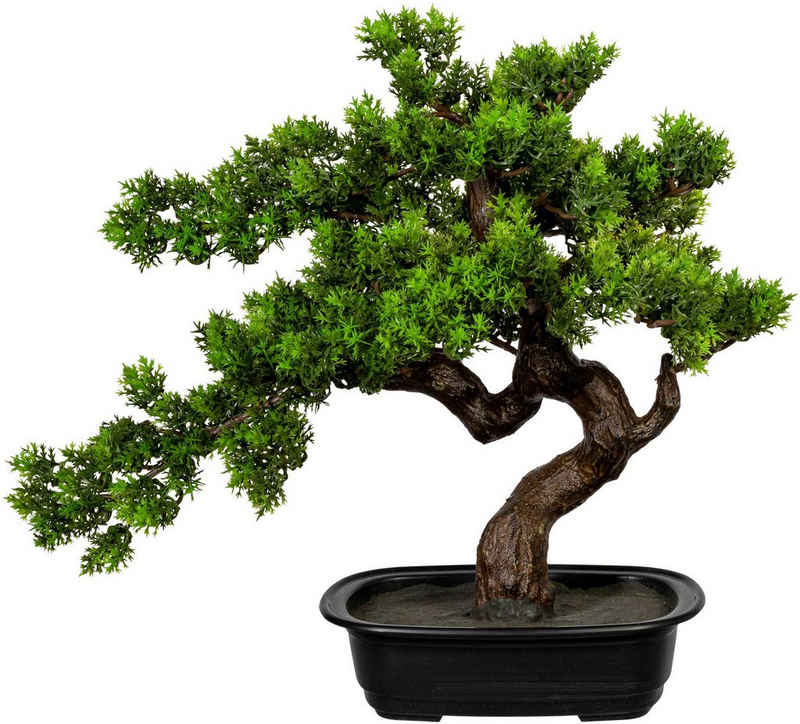 Kunstbonsai Bonsai Bonsai, Creativ green, Höhe 40 cm