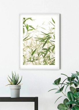 Komar Poster Bamboo Leaves, Blätter, Pflanzen (1 St), Kinderzimmer, Schlafzimmer, Wohnzimmer