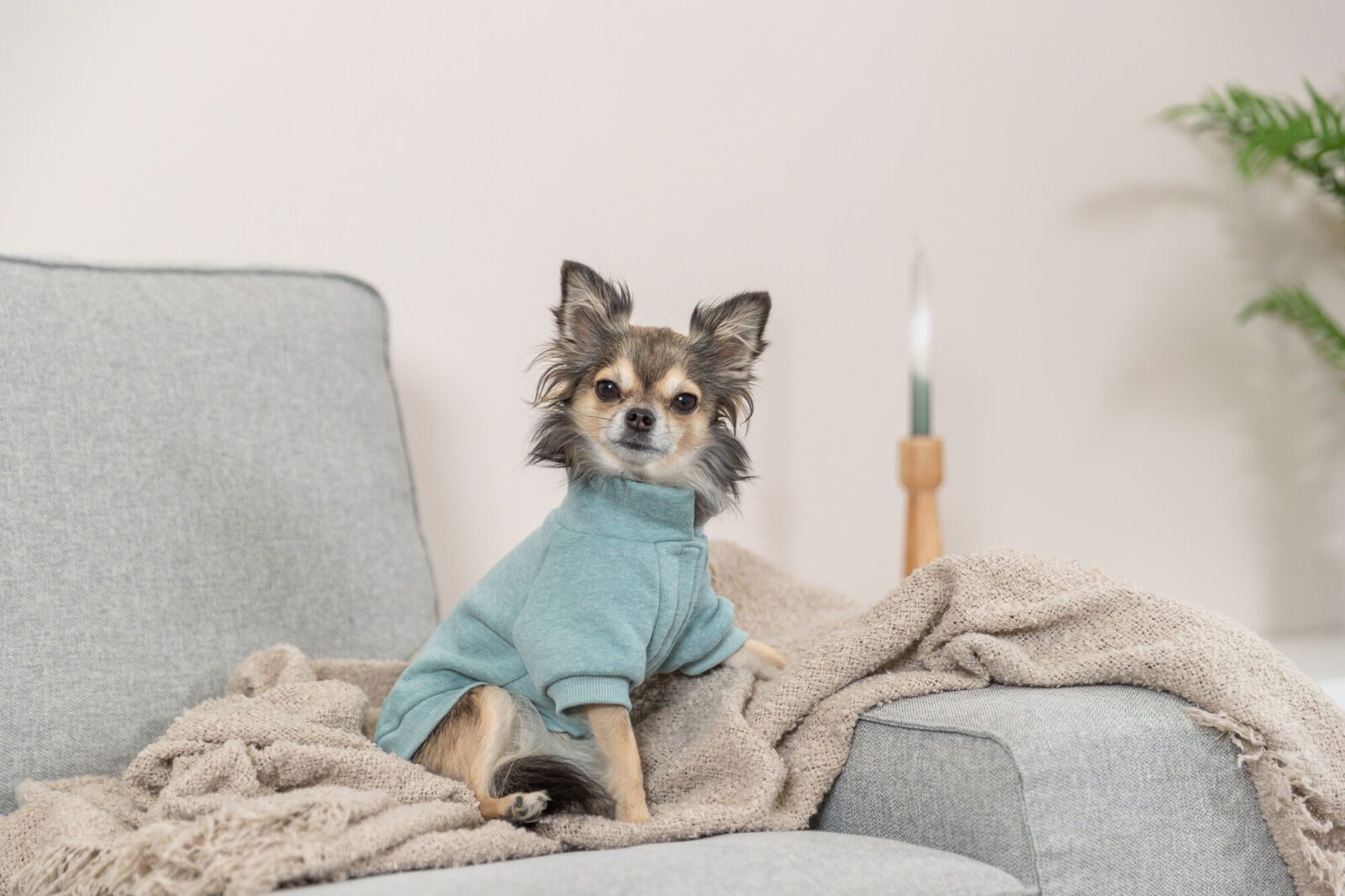 TRIXIE Hundeshirt Sweatshirt Littleton - mint